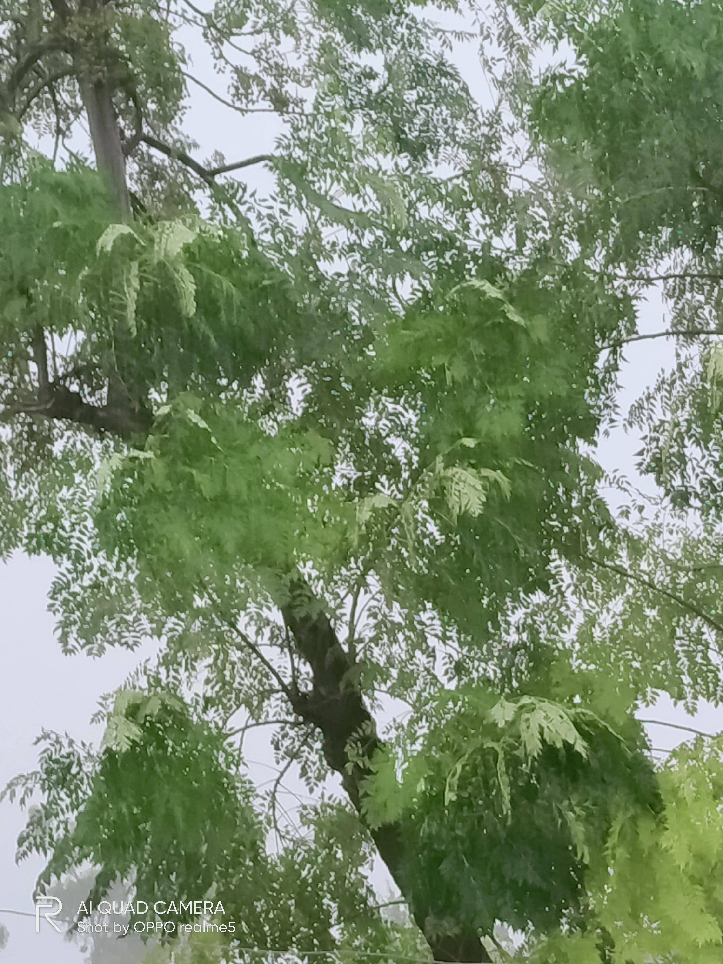 IMG20210908085459.jpg