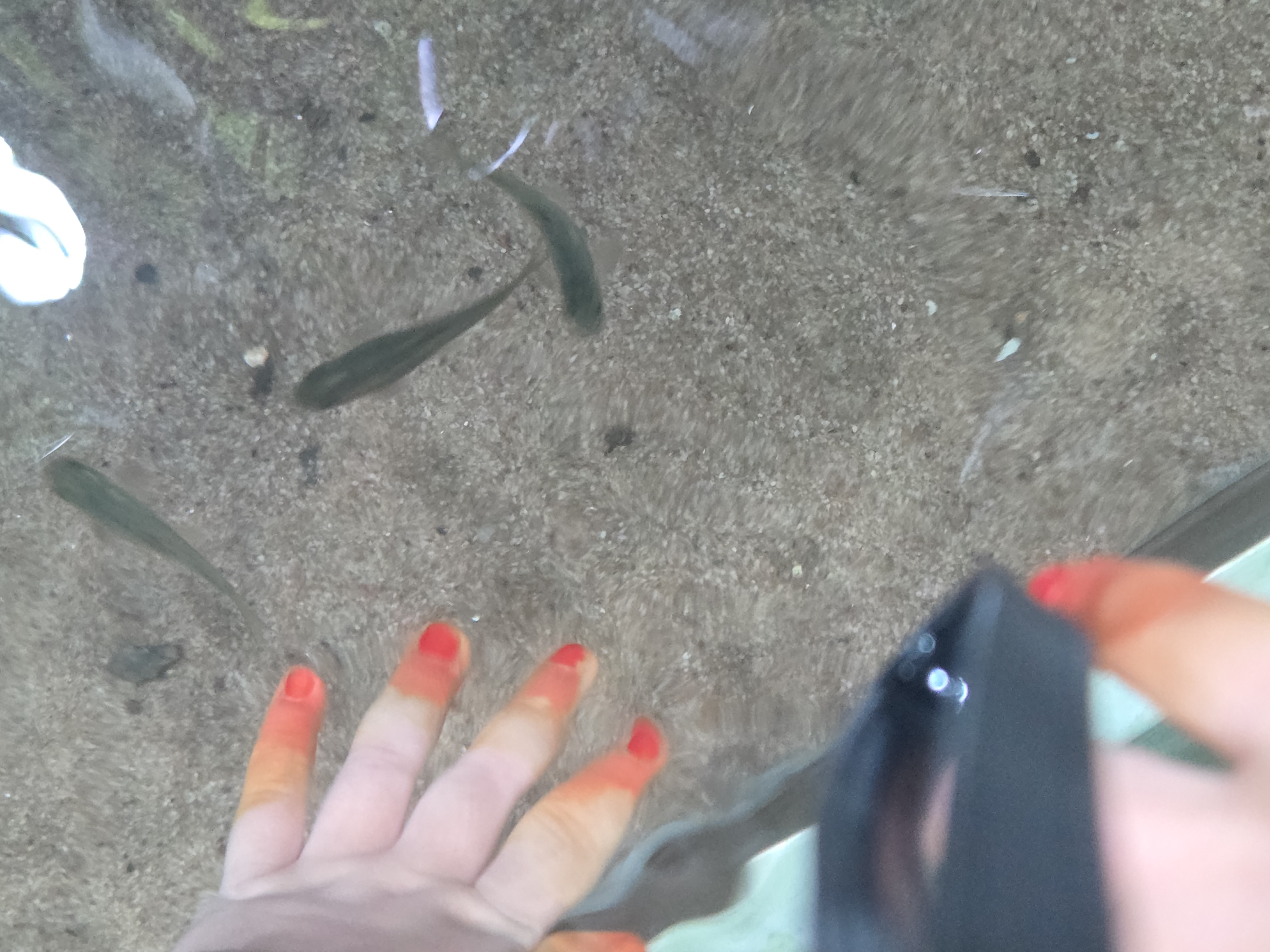 20260717_155939.jpg