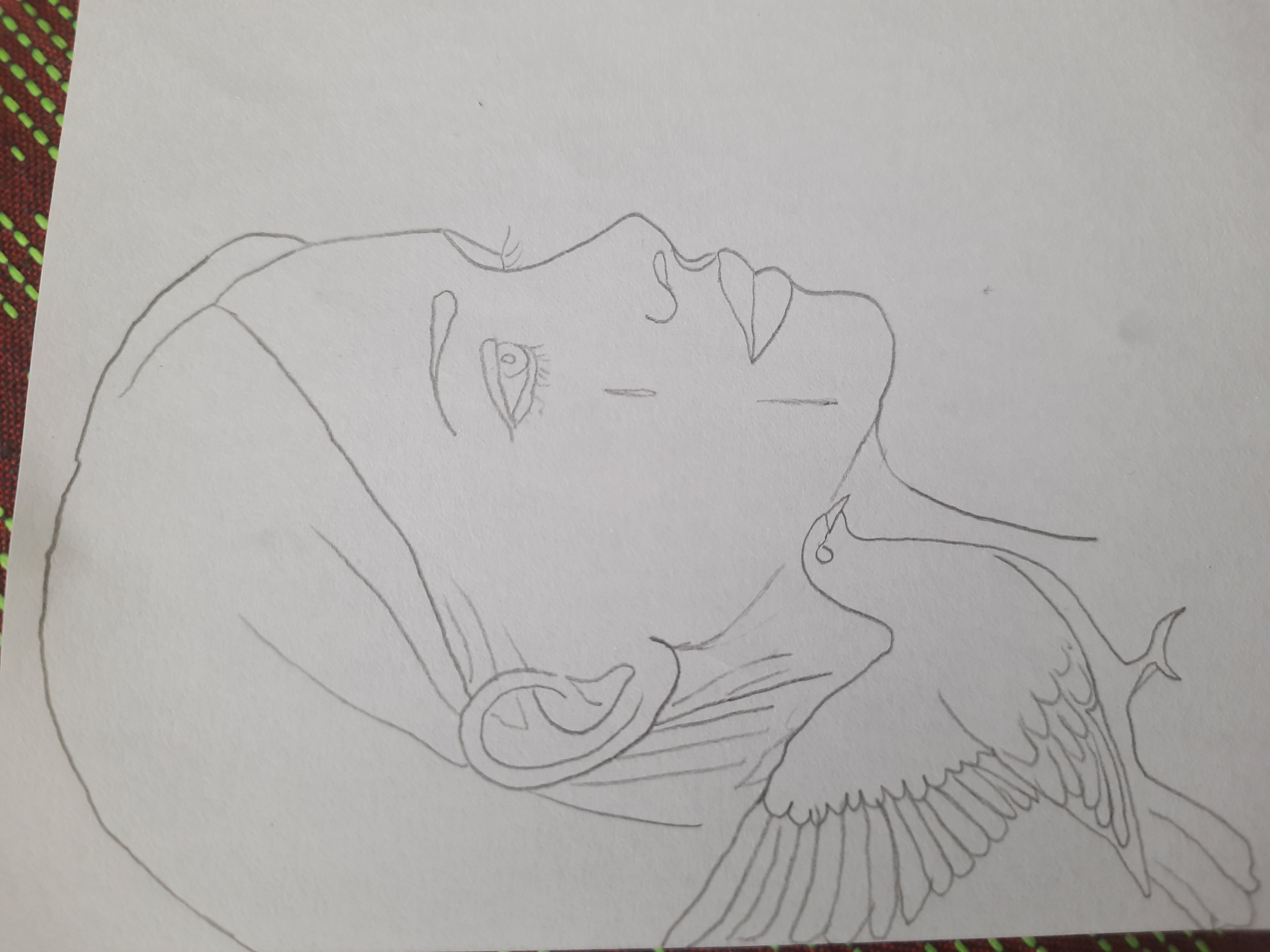 20260716_114746.jpg