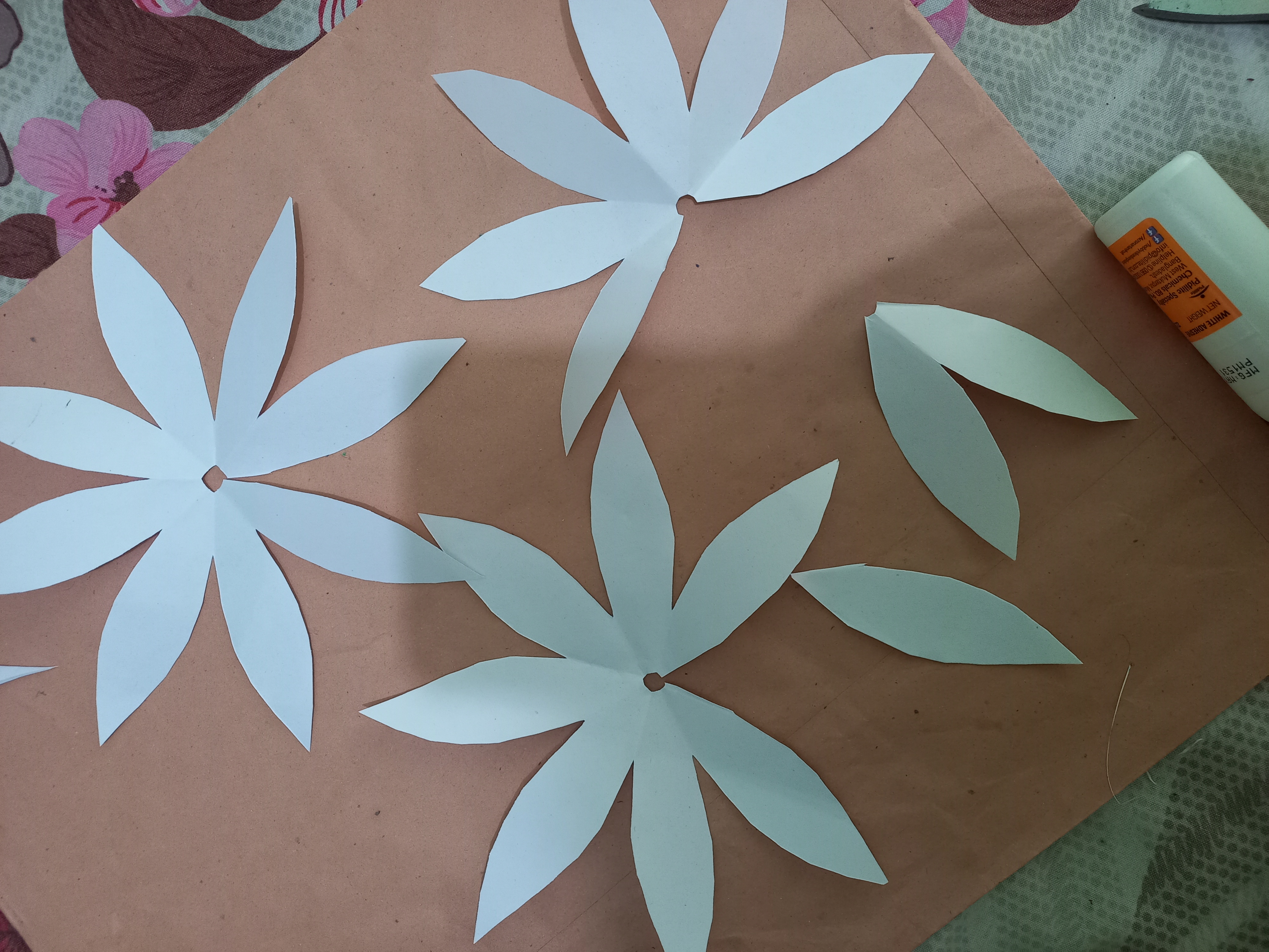 20220126_120657.jpg