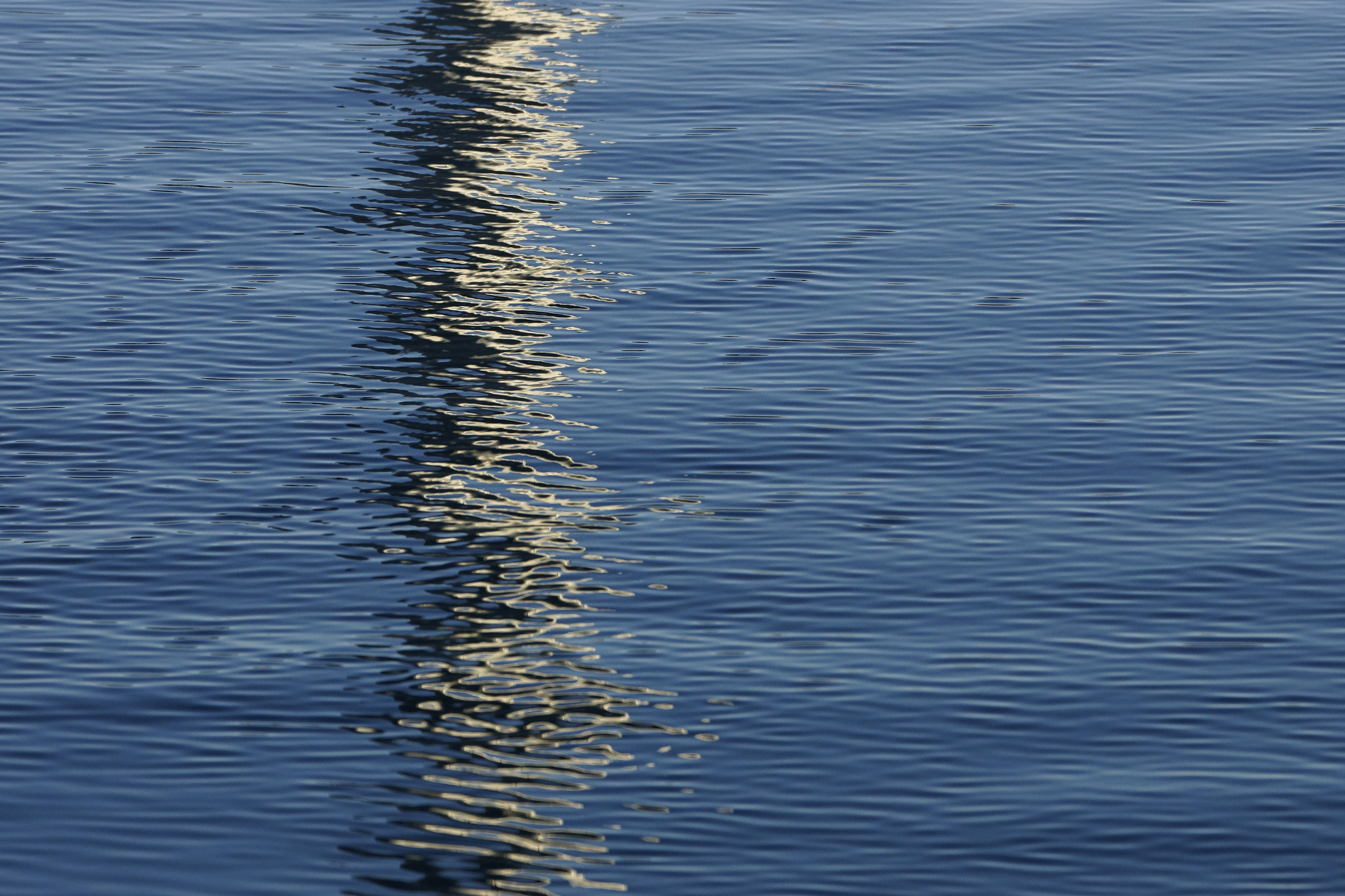 _DSC4705.JPG