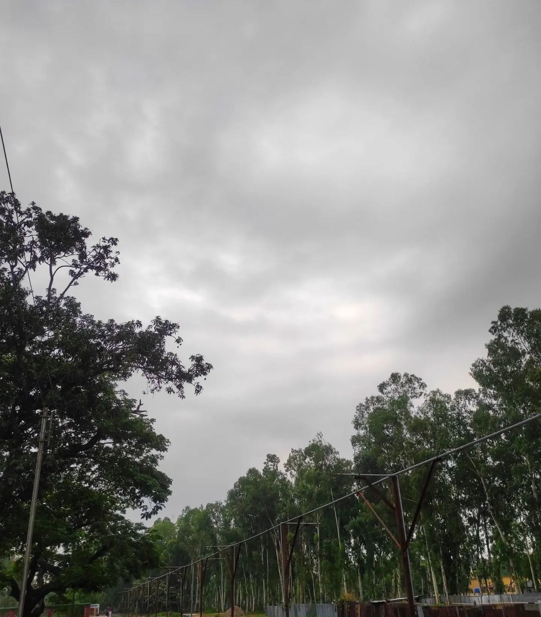 IMG_20231105_095729.jpg