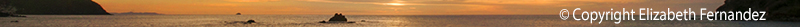 _DSC0300-1 separador.jpg