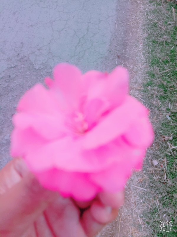 B612_20210503_173341_913.jpg
