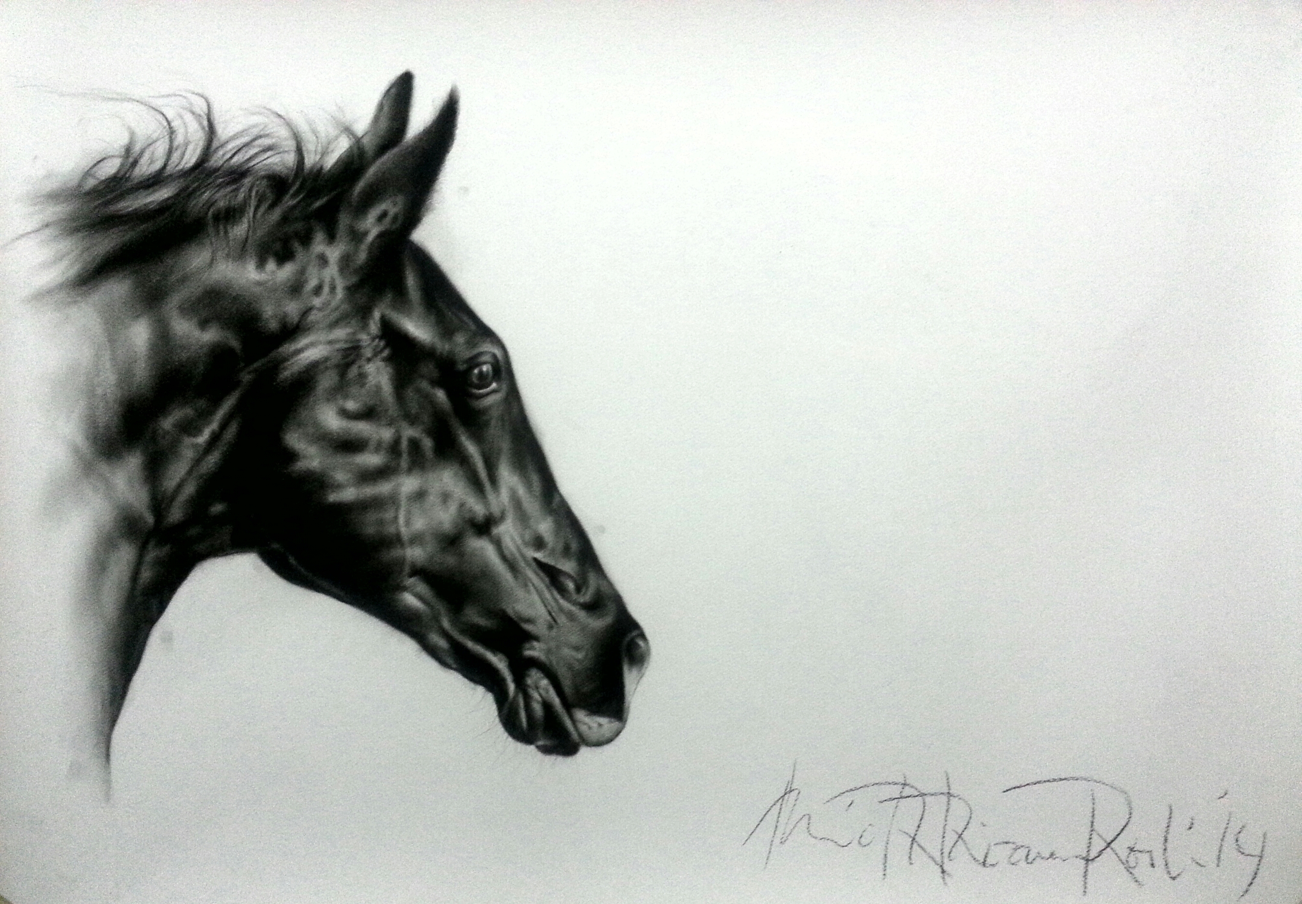 Black Horse Drawing by Kanat Mks  Artmajeur