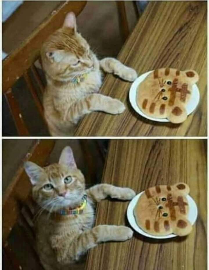 IP4ckSO.jpg