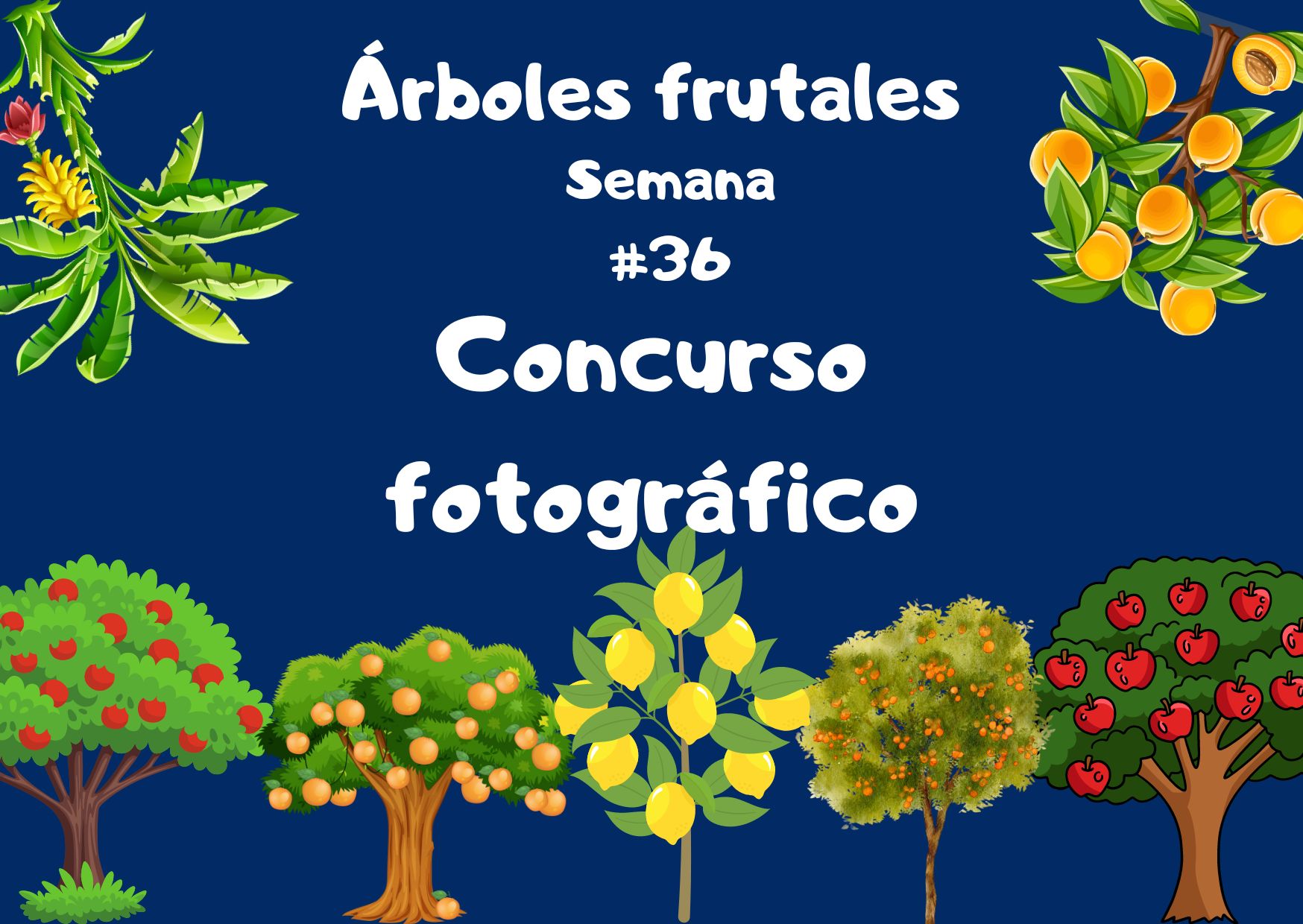 Concurso fotográfico (4).jpg