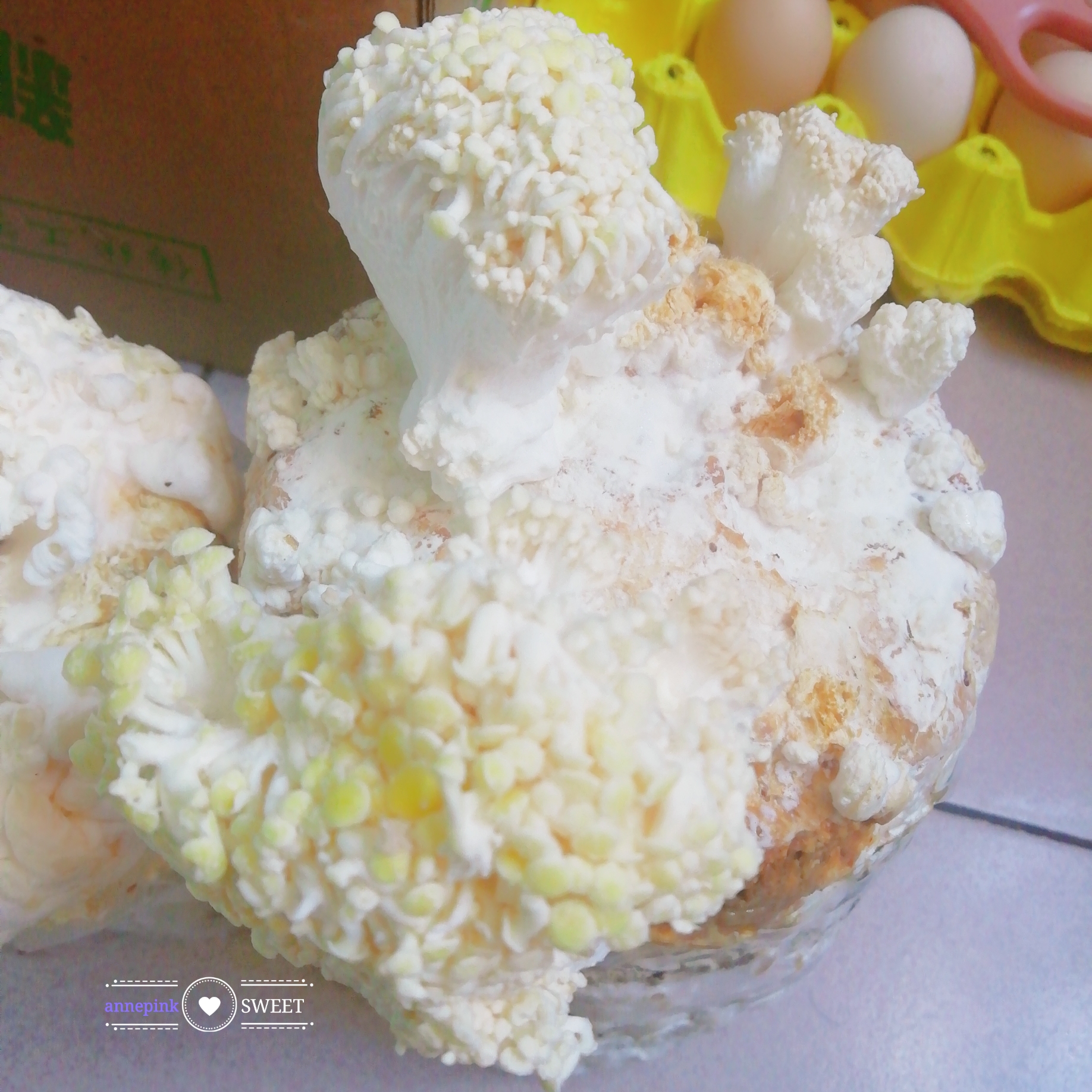 diary game黄颜菇总算发芽了👻