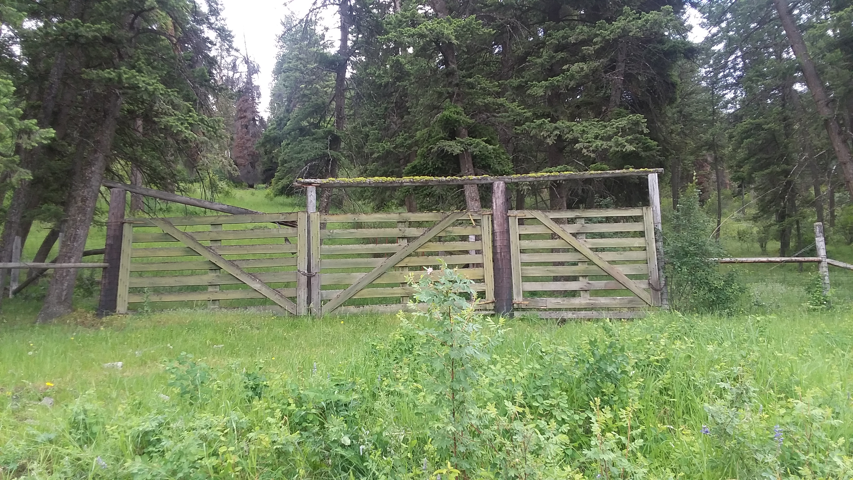 20190623_163947.jpg