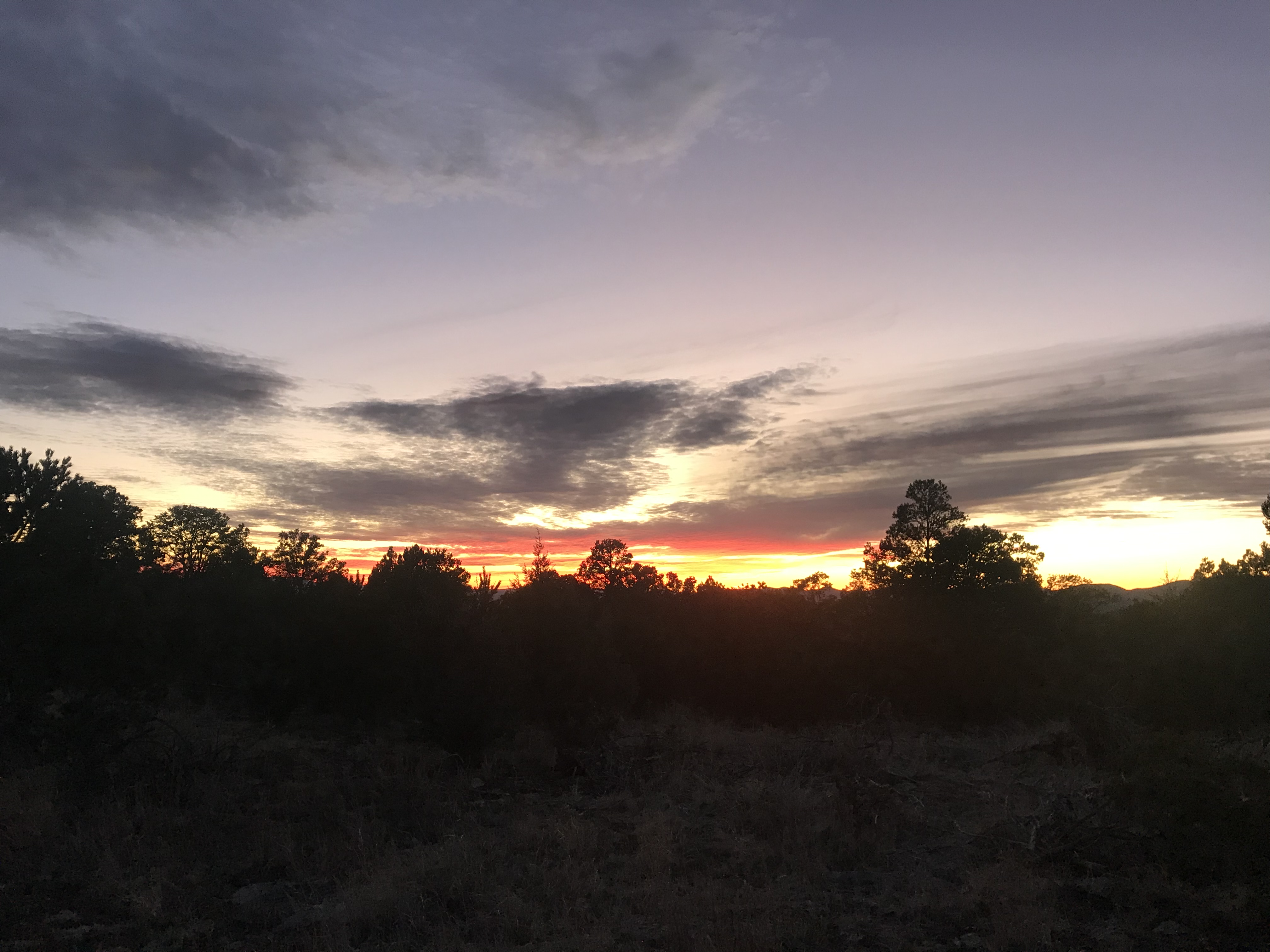 9DFD0736-5EDA-42D5-B27A-E7516F71F679.jpeg