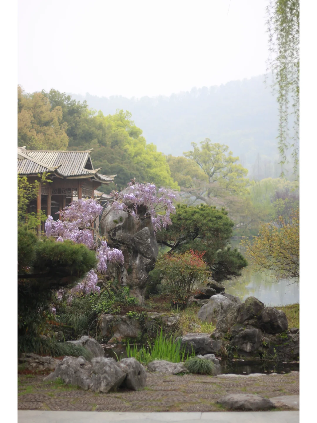 371.webp