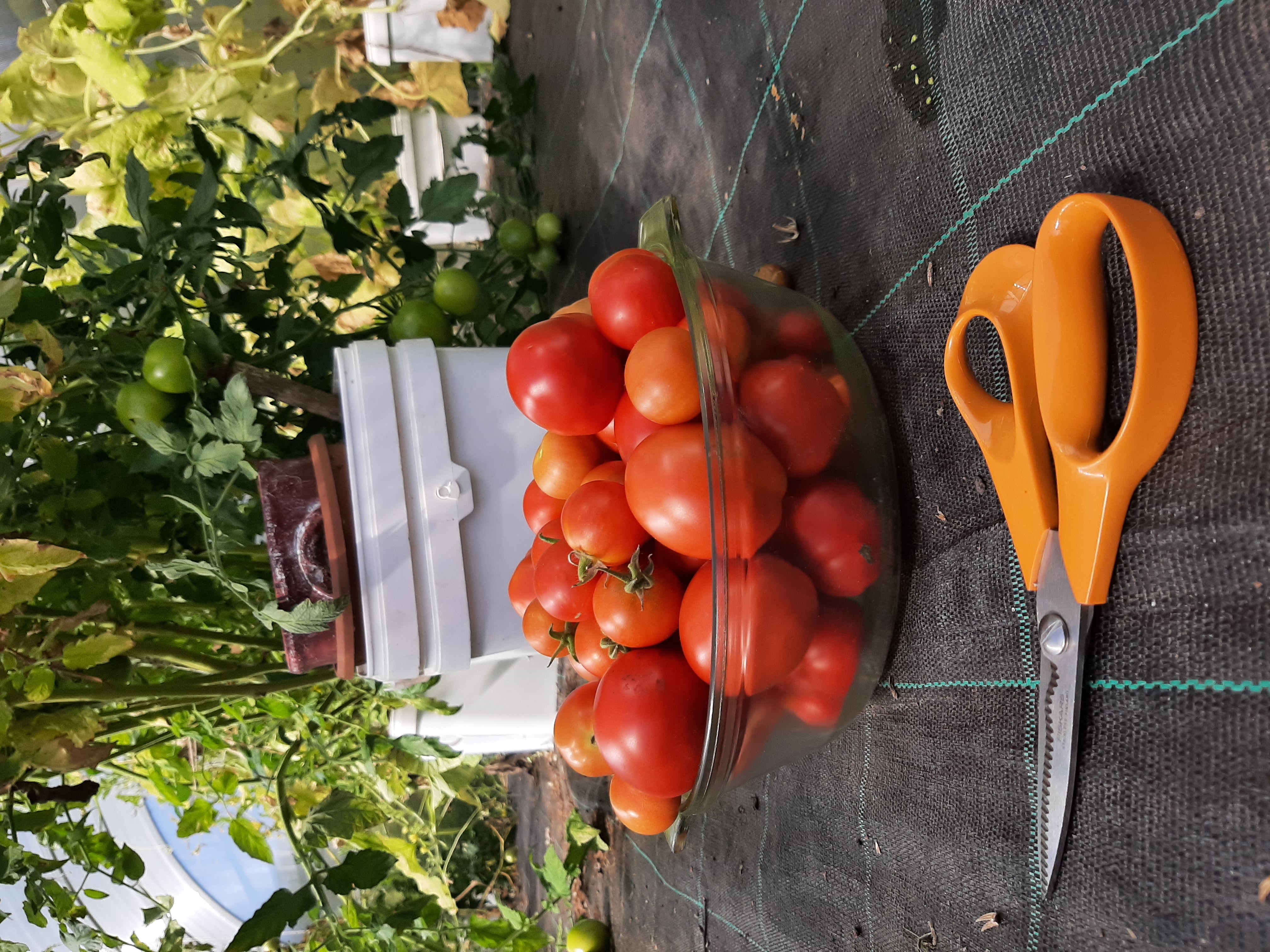 20240808_132037.jpg