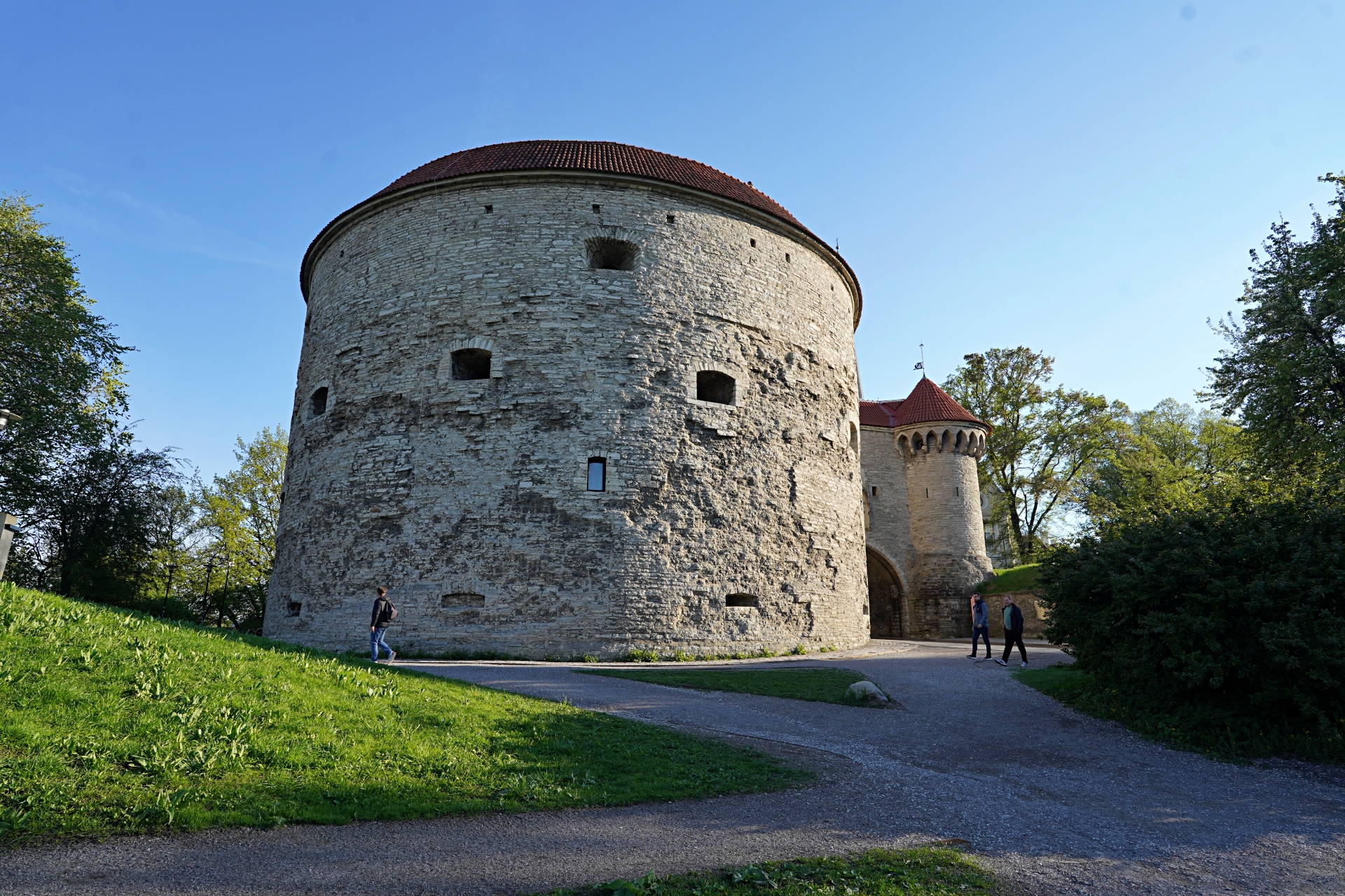 b-S260520-171607.jpg