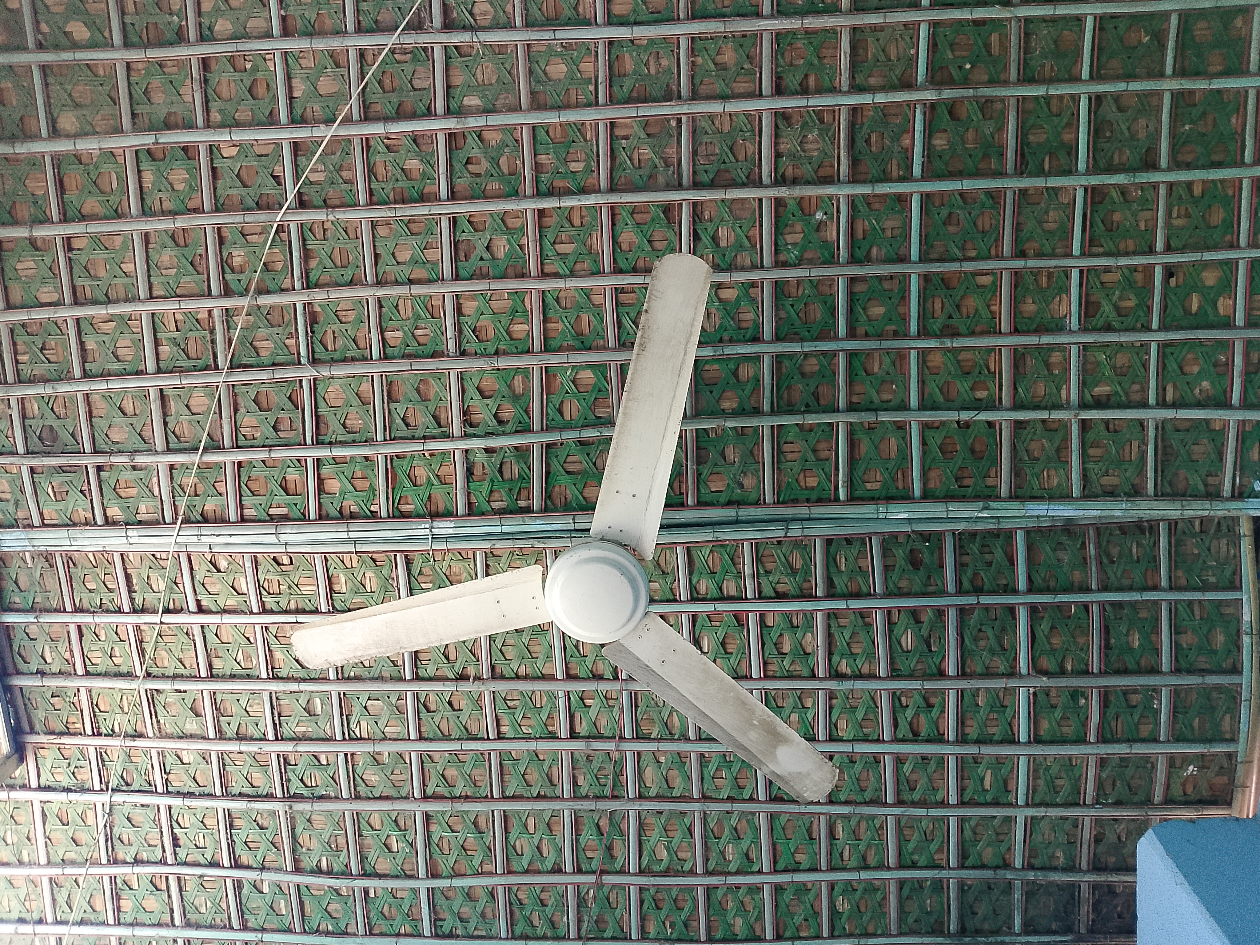 1000068510.jpg