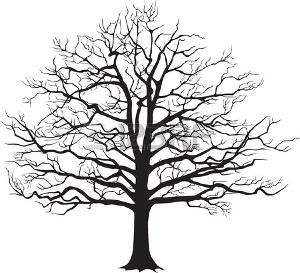 31861378-negro-silueta-árbol-desnudo-ilustración-vectorial.jpg