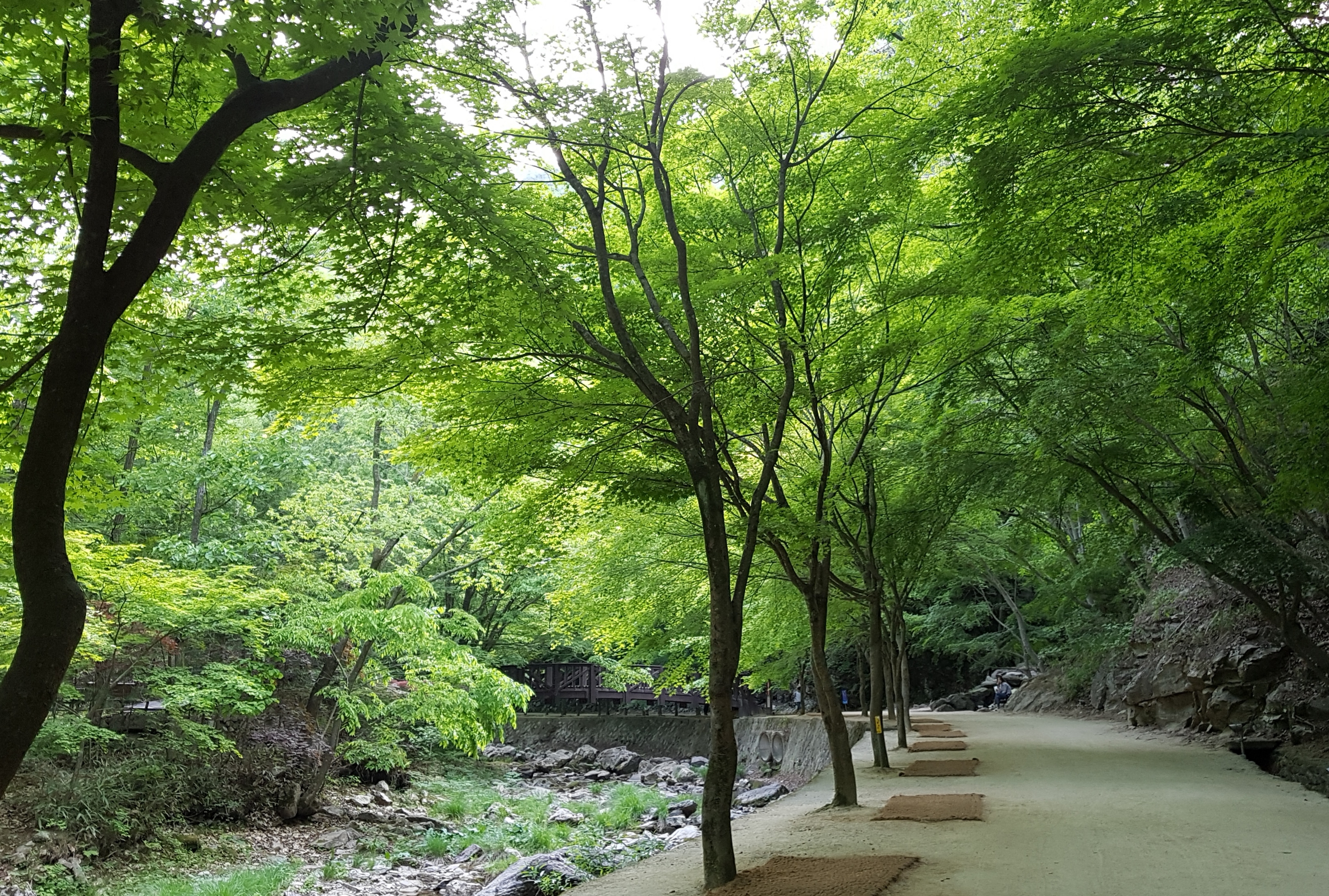 20190515_082717.jpg