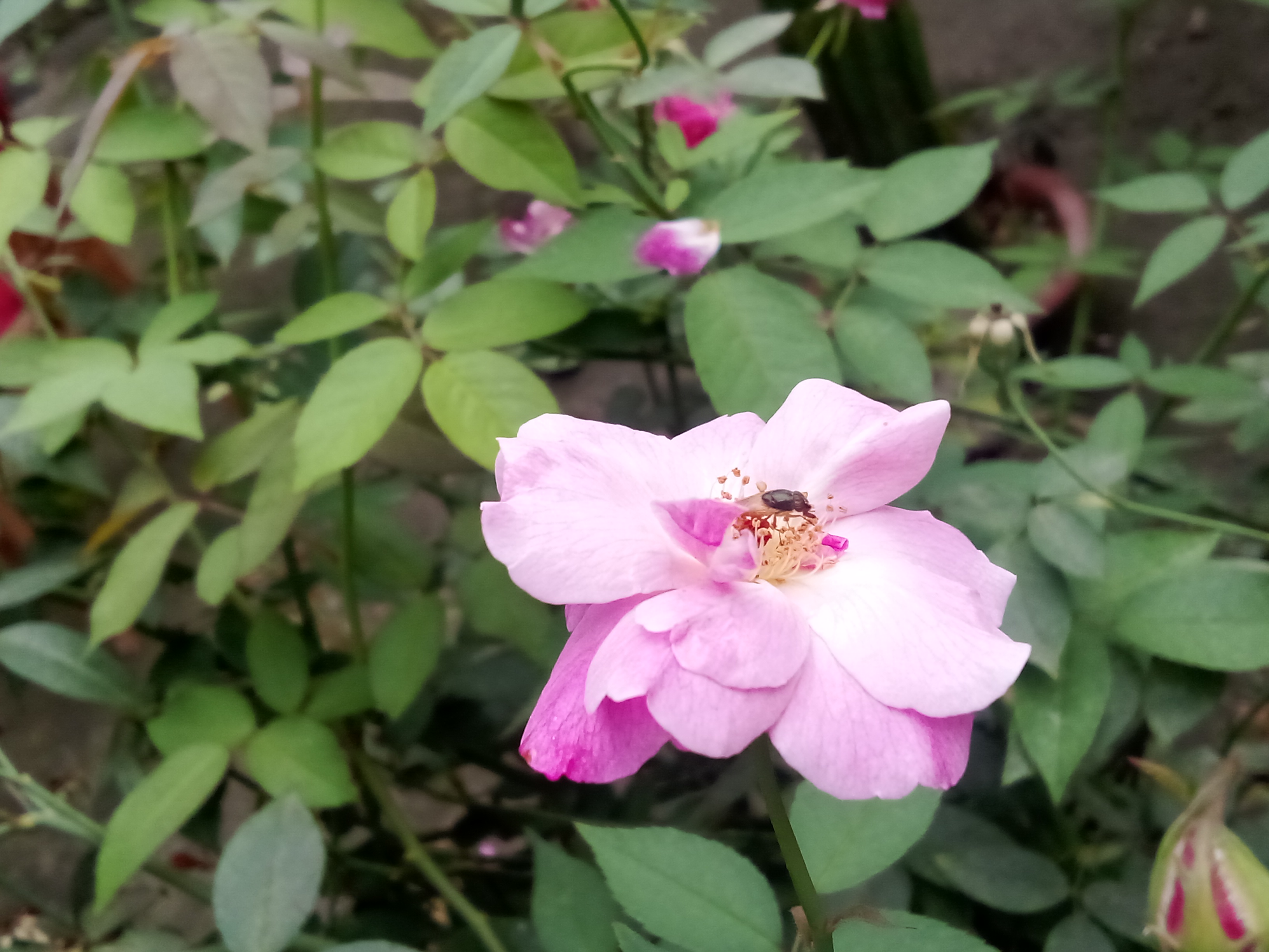 IMG_20260319_135132.jpg