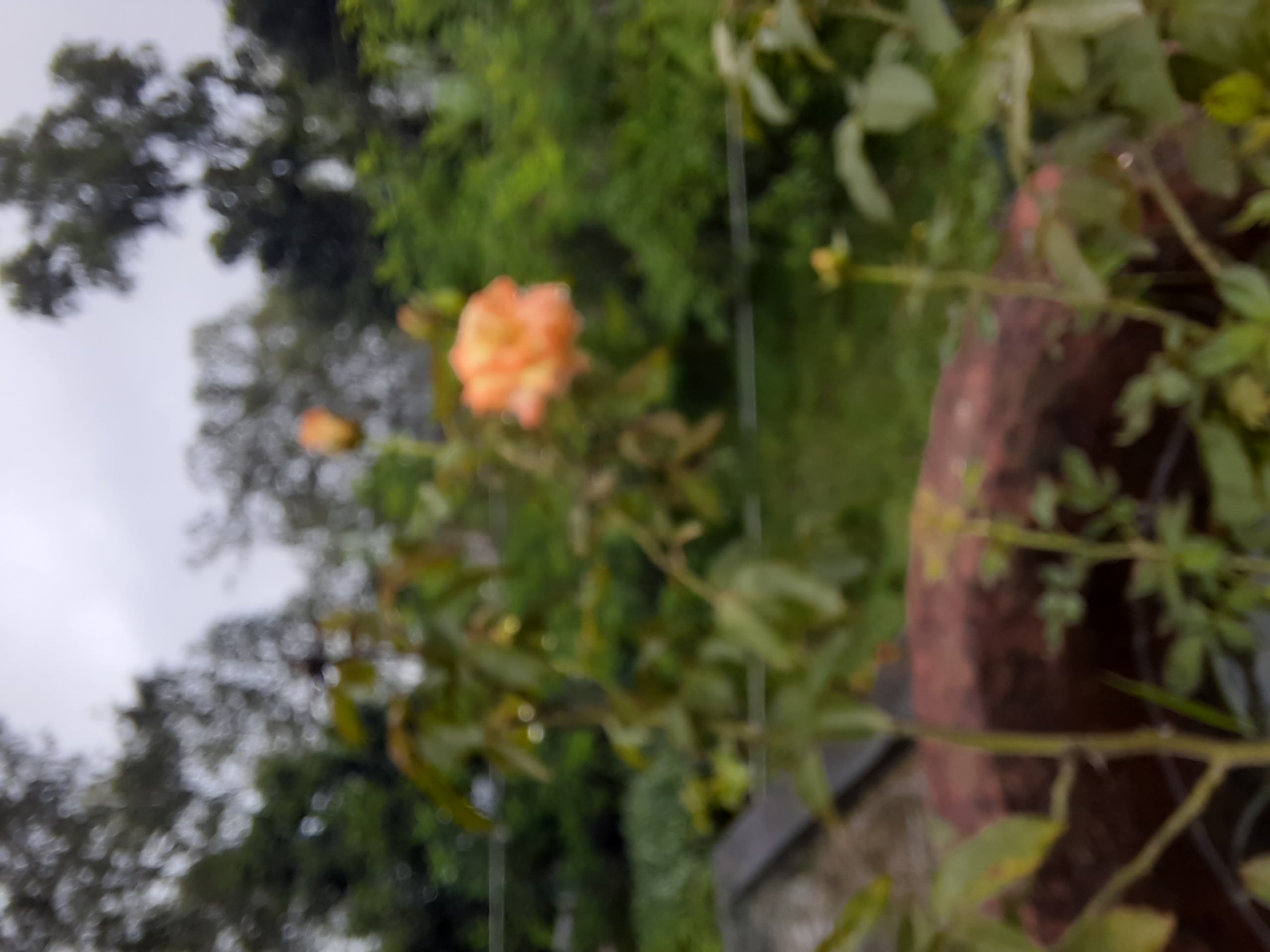 20230825_075854.jpg