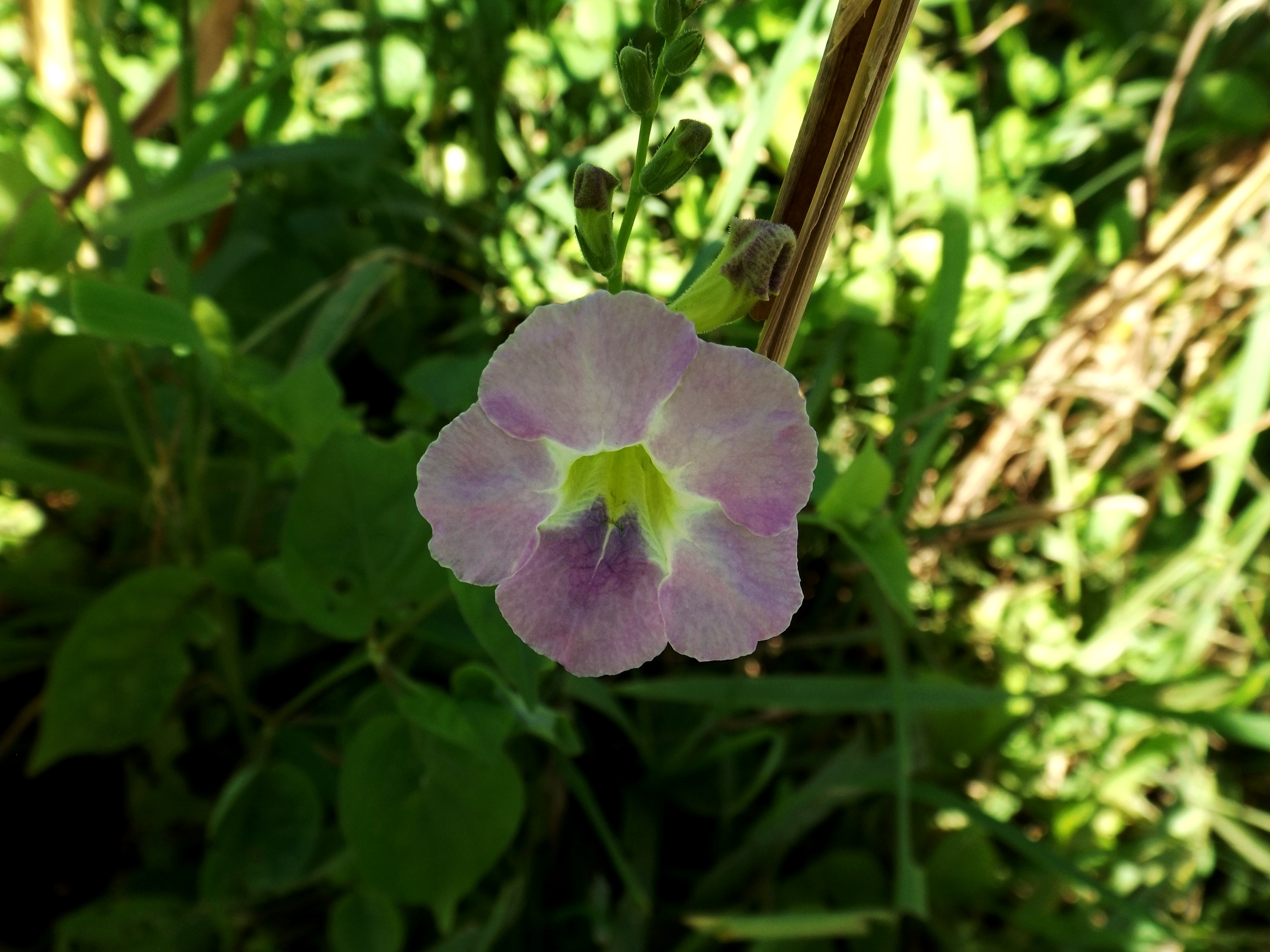 DSCF3543.JPG