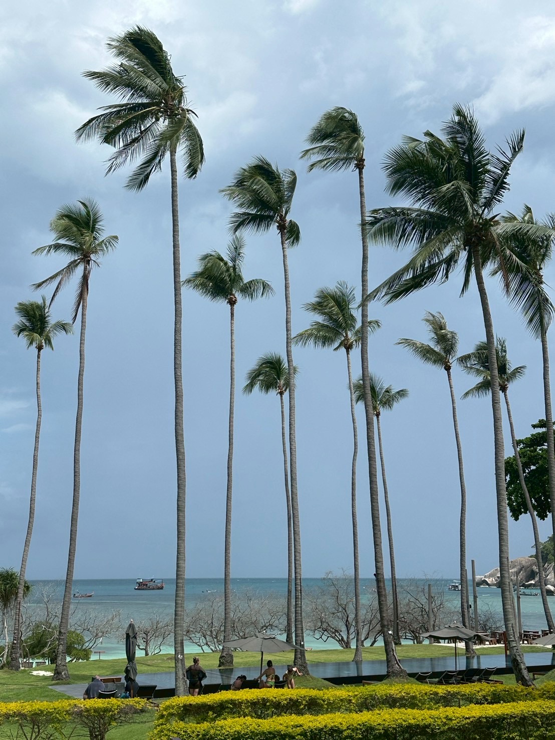 Koh Tao26.jpg