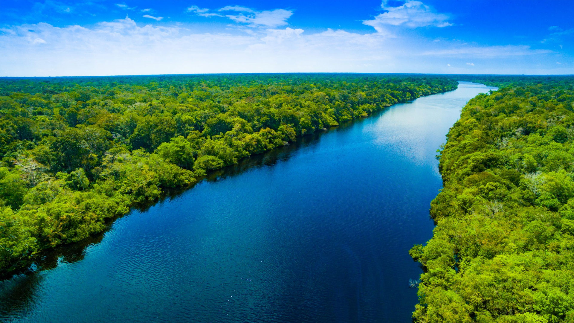 Amazon-Rainforest-1.jpg