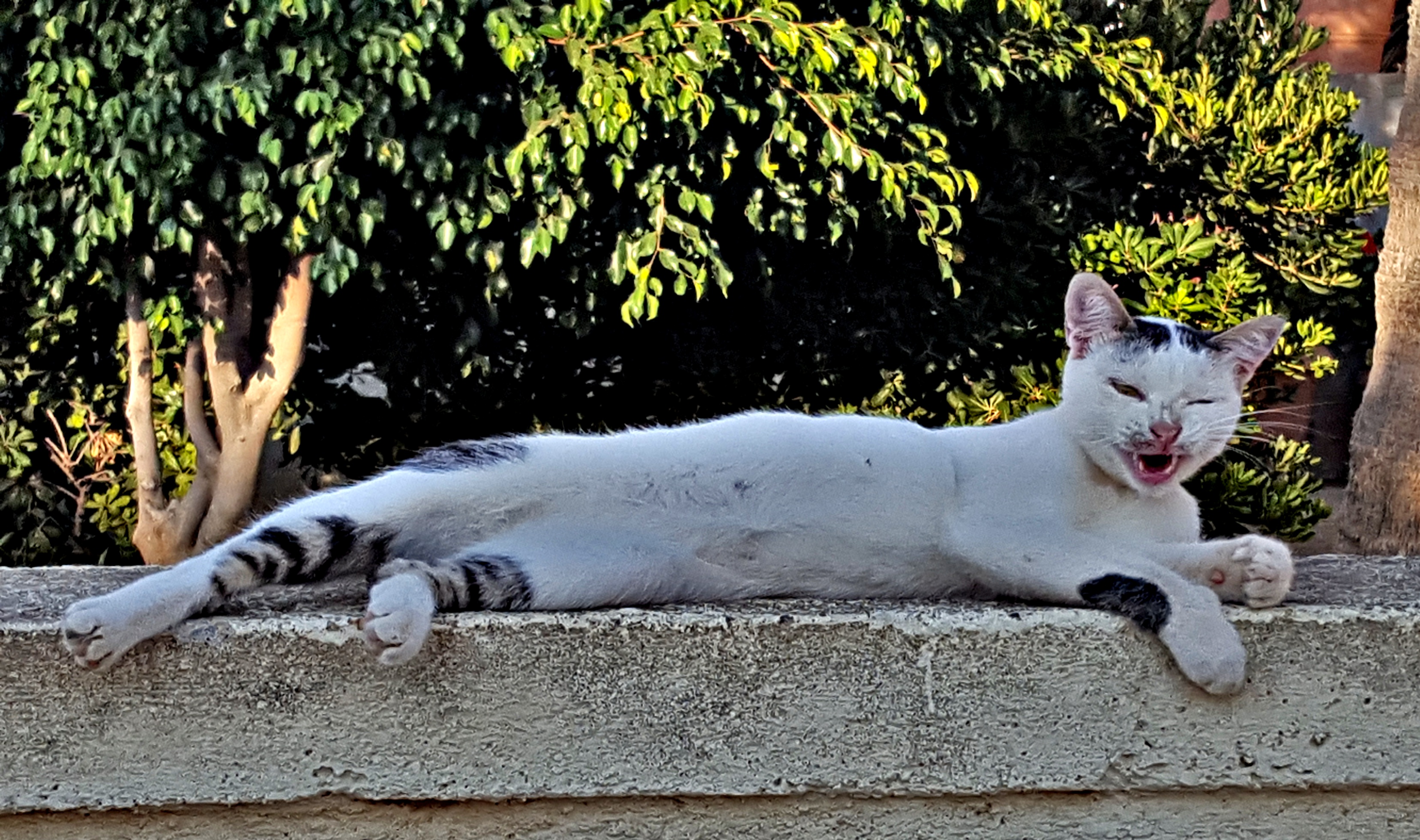 20180818_205217.jpg