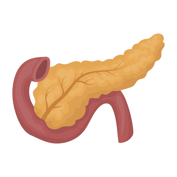 shutterstock_489790477.jpg