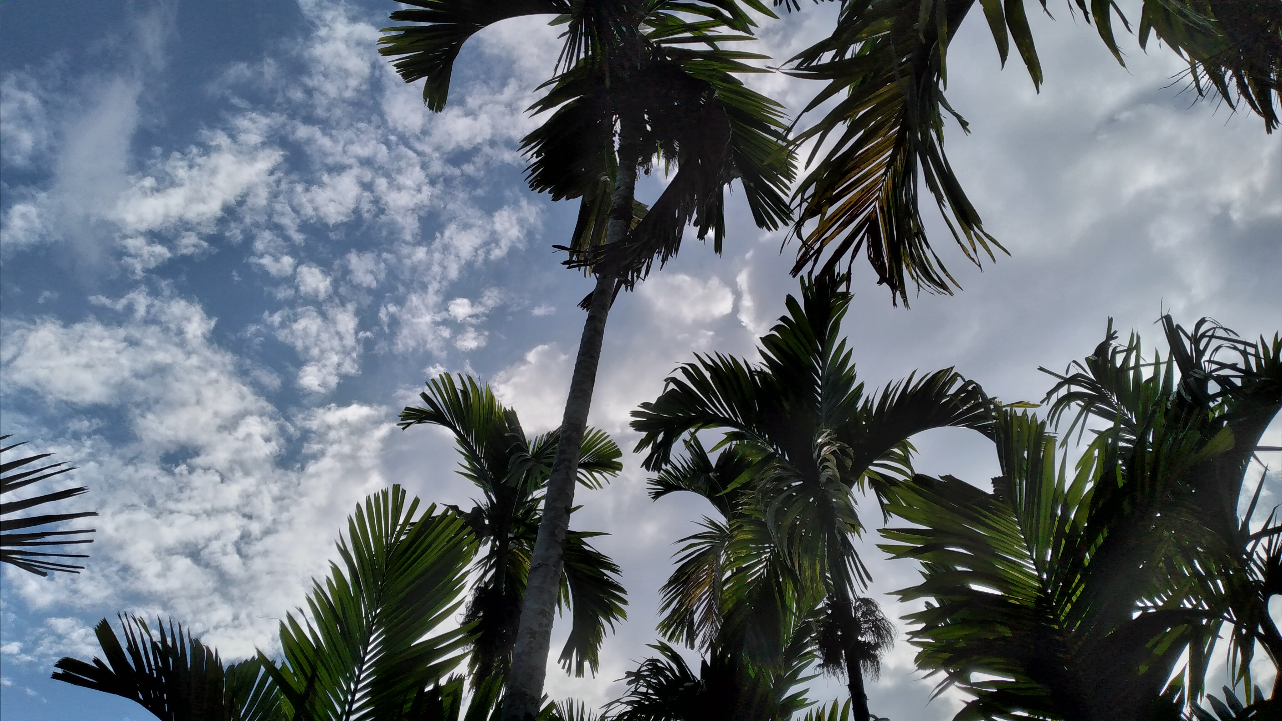 20220918_164753.jpg