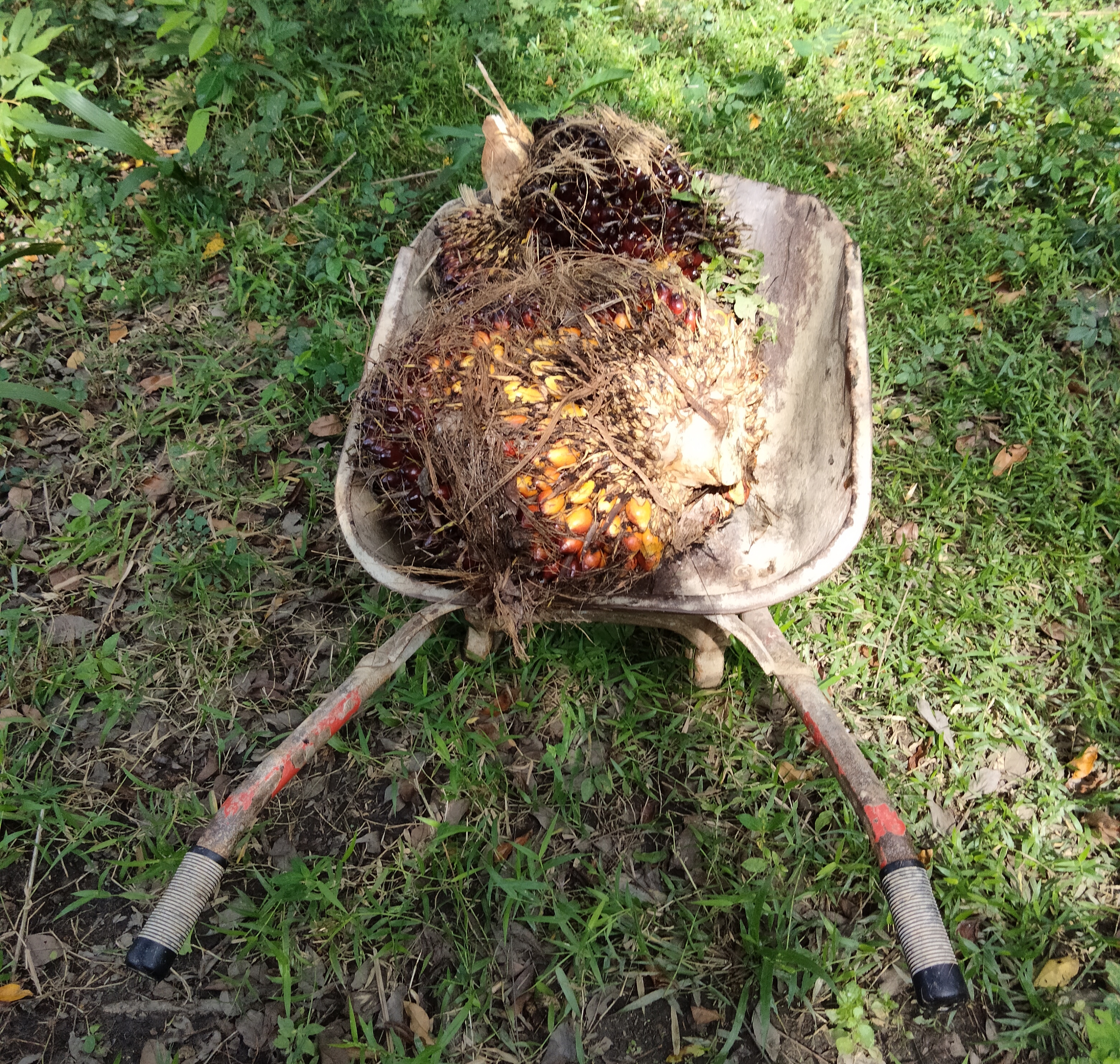 IMG_20231209134415.jpg