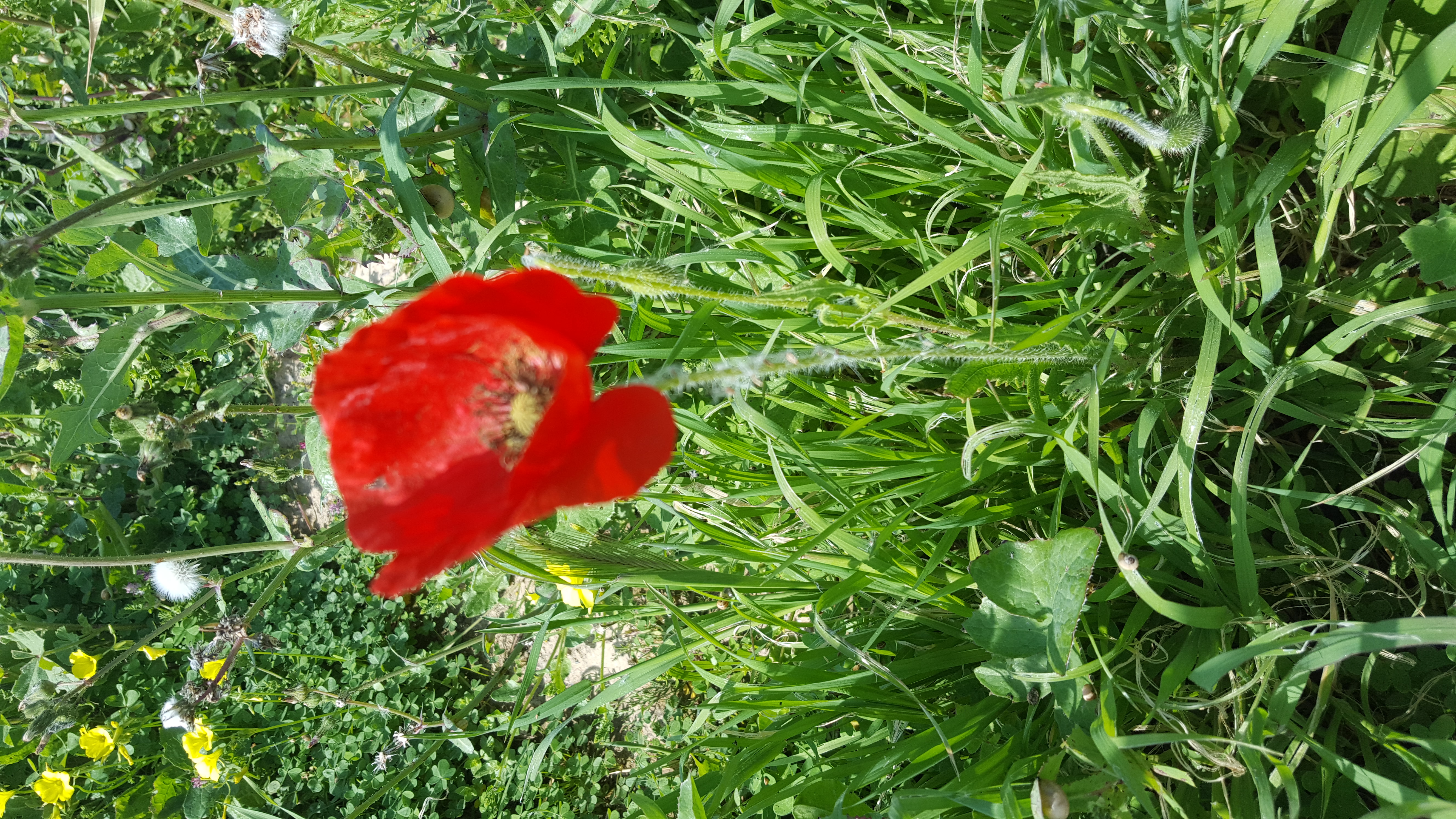 20190322_122226.jpg