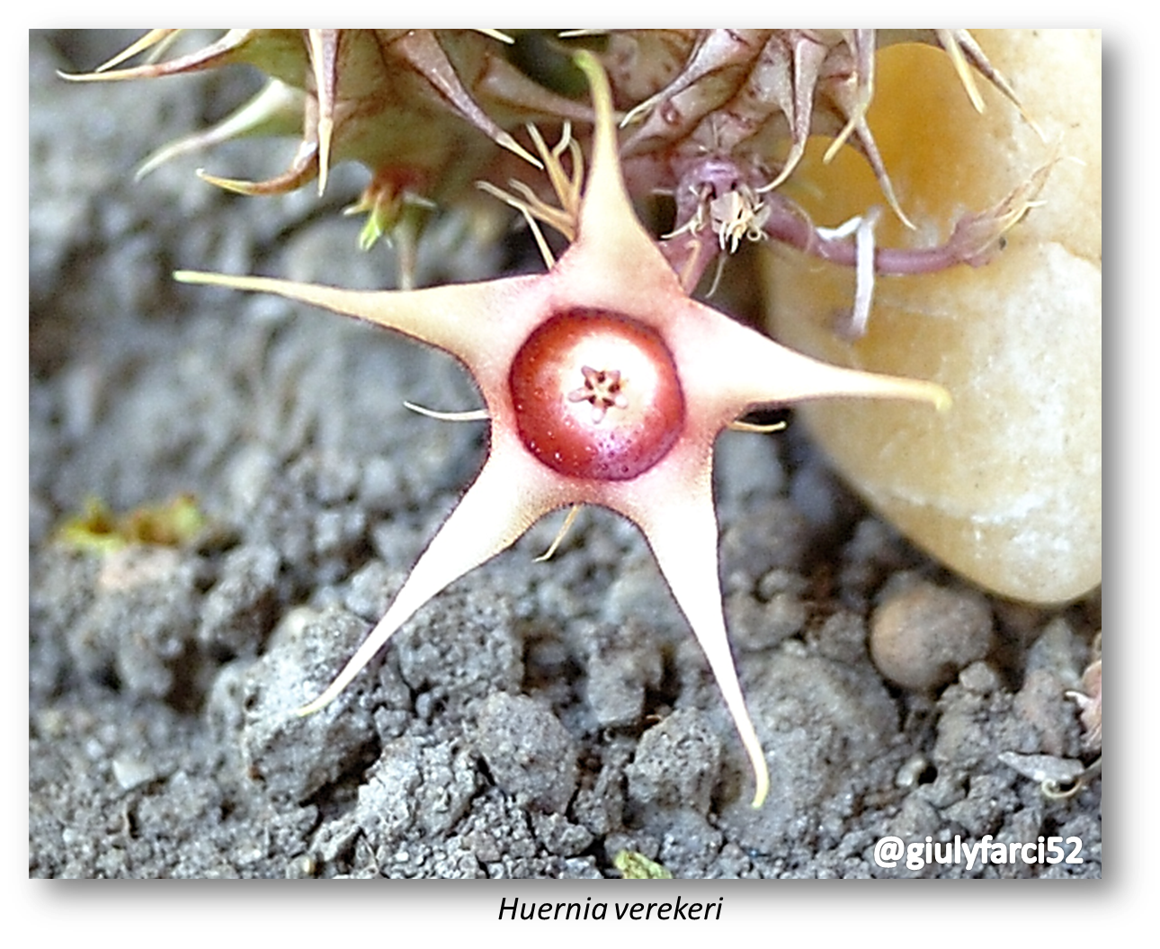 FOTO 6.png