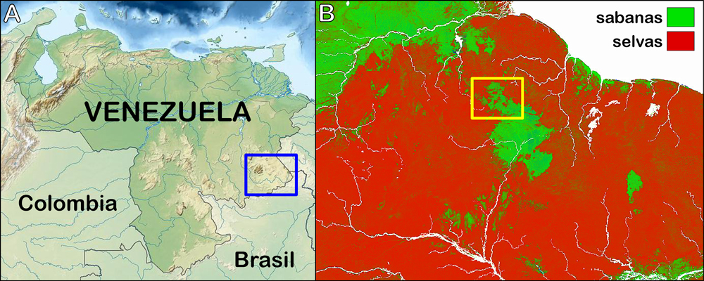roraima-savannas5.jpg