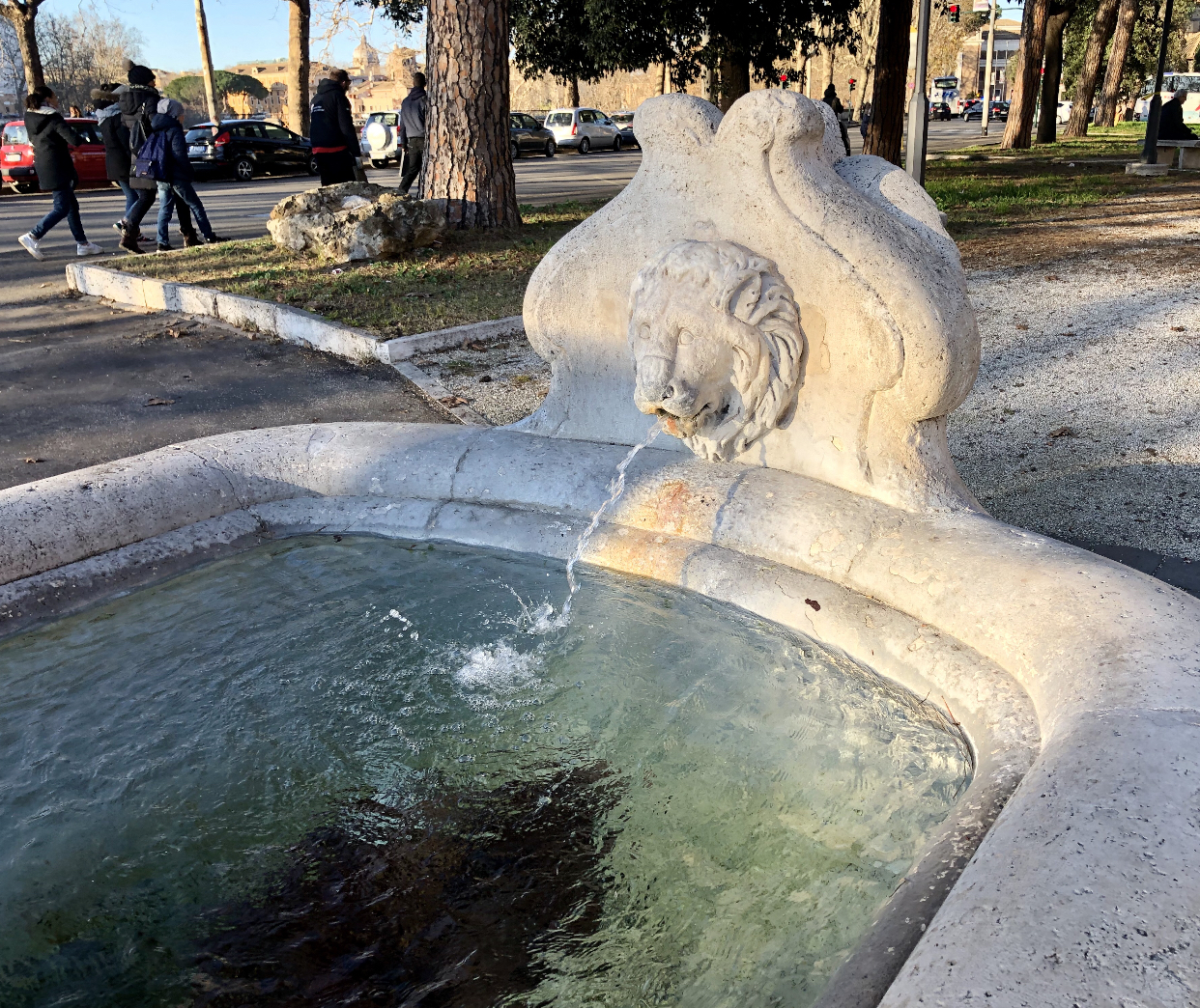 1117B3D8-B7ED-4BB9-A6FF-CAF27B2AA7BD.jpeg