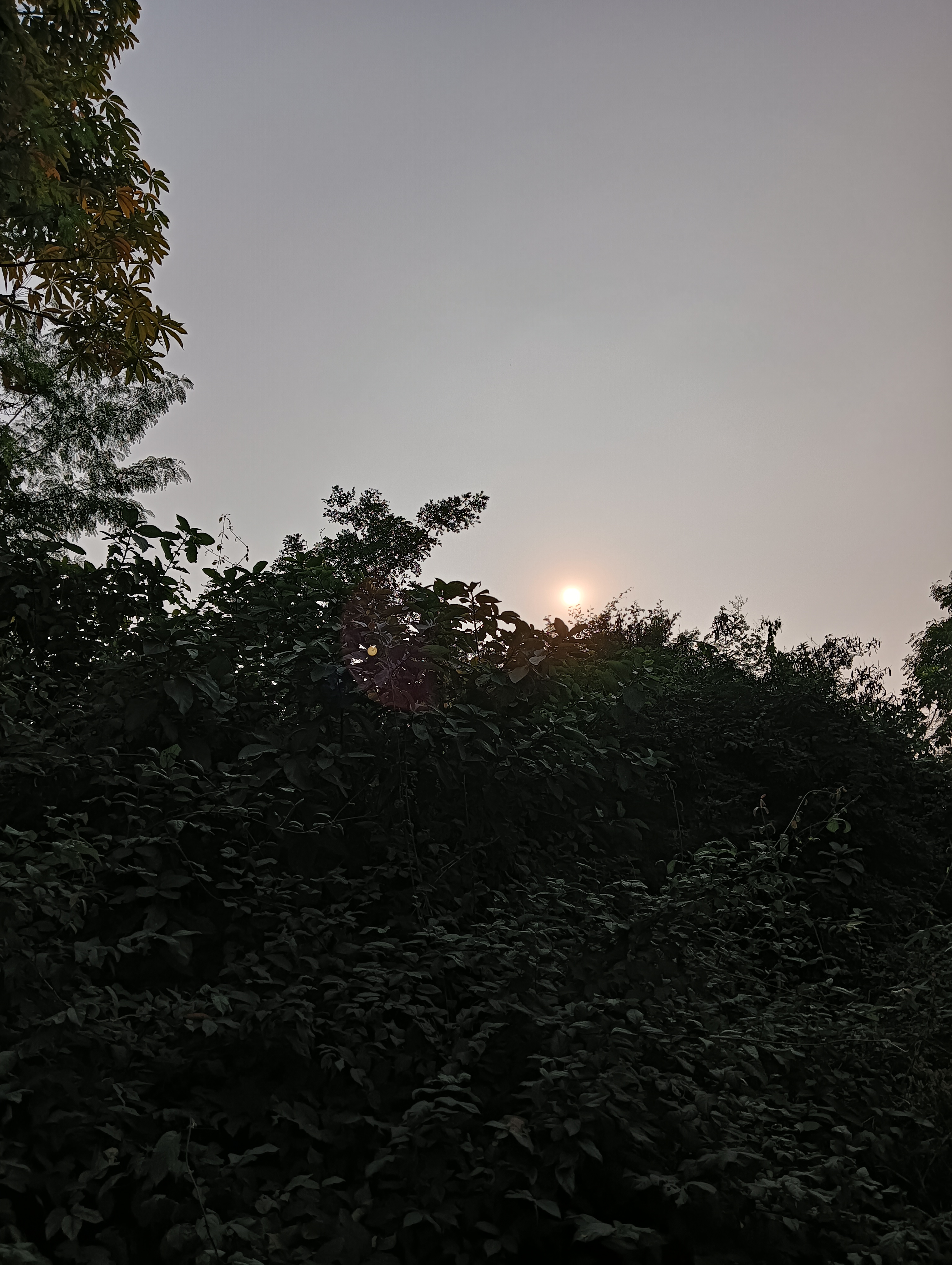 IMG20231231152609.jpg