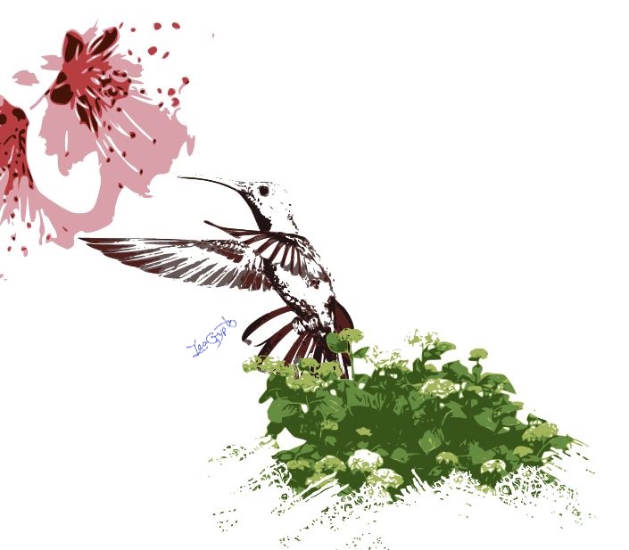 Colibri.JPG