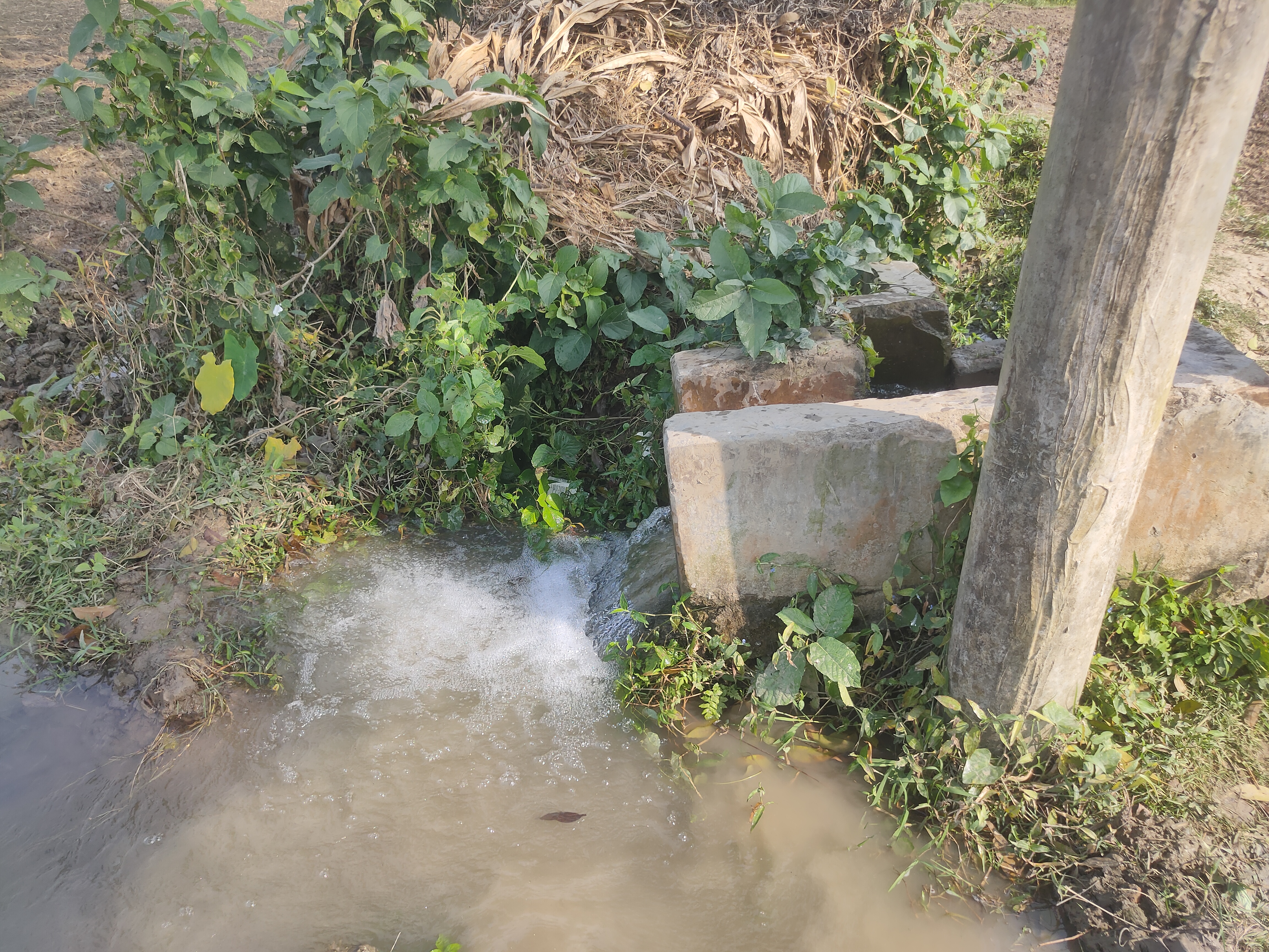 IMG20231228125014.jpg