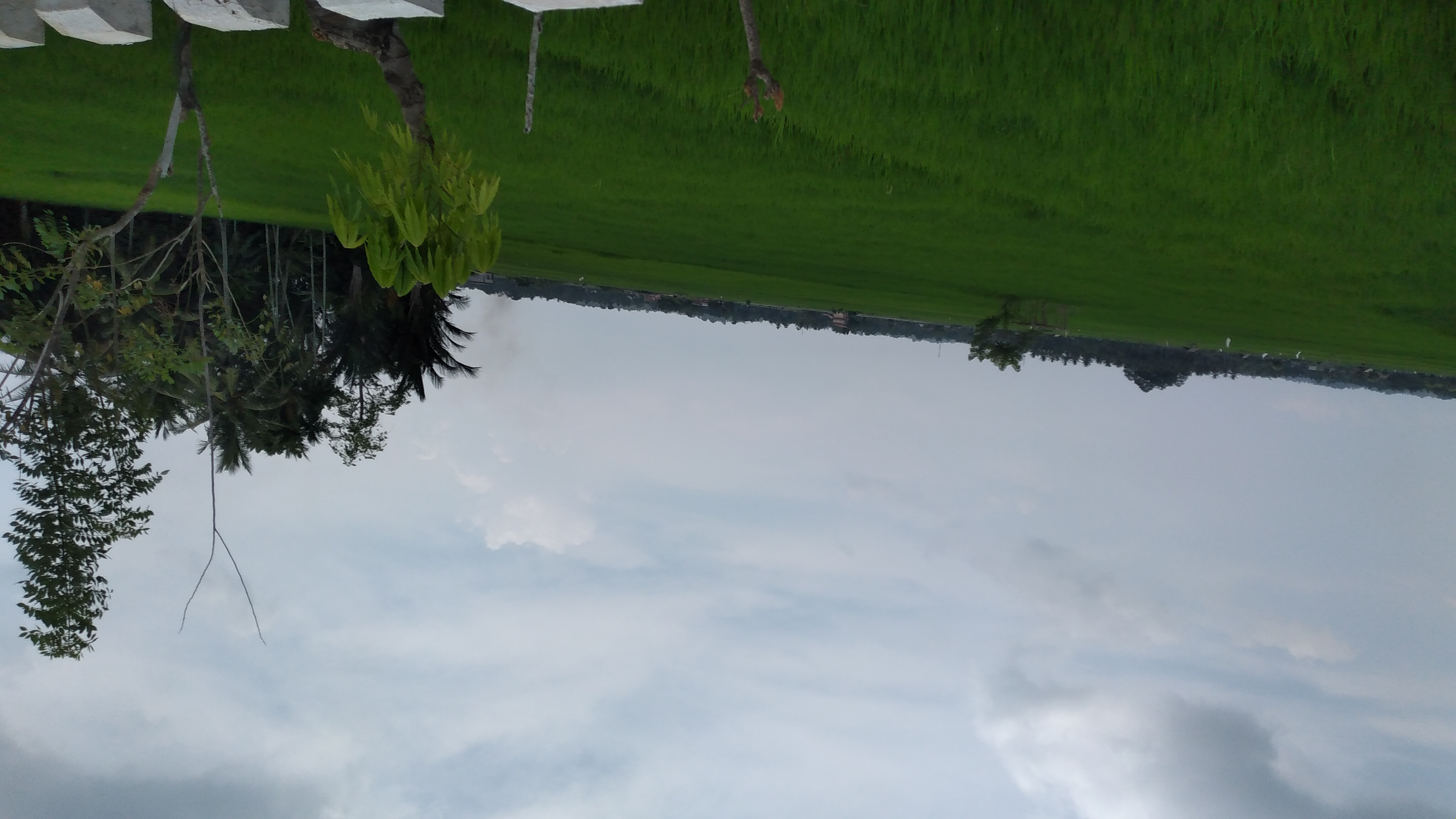20240326_115958.jpg
