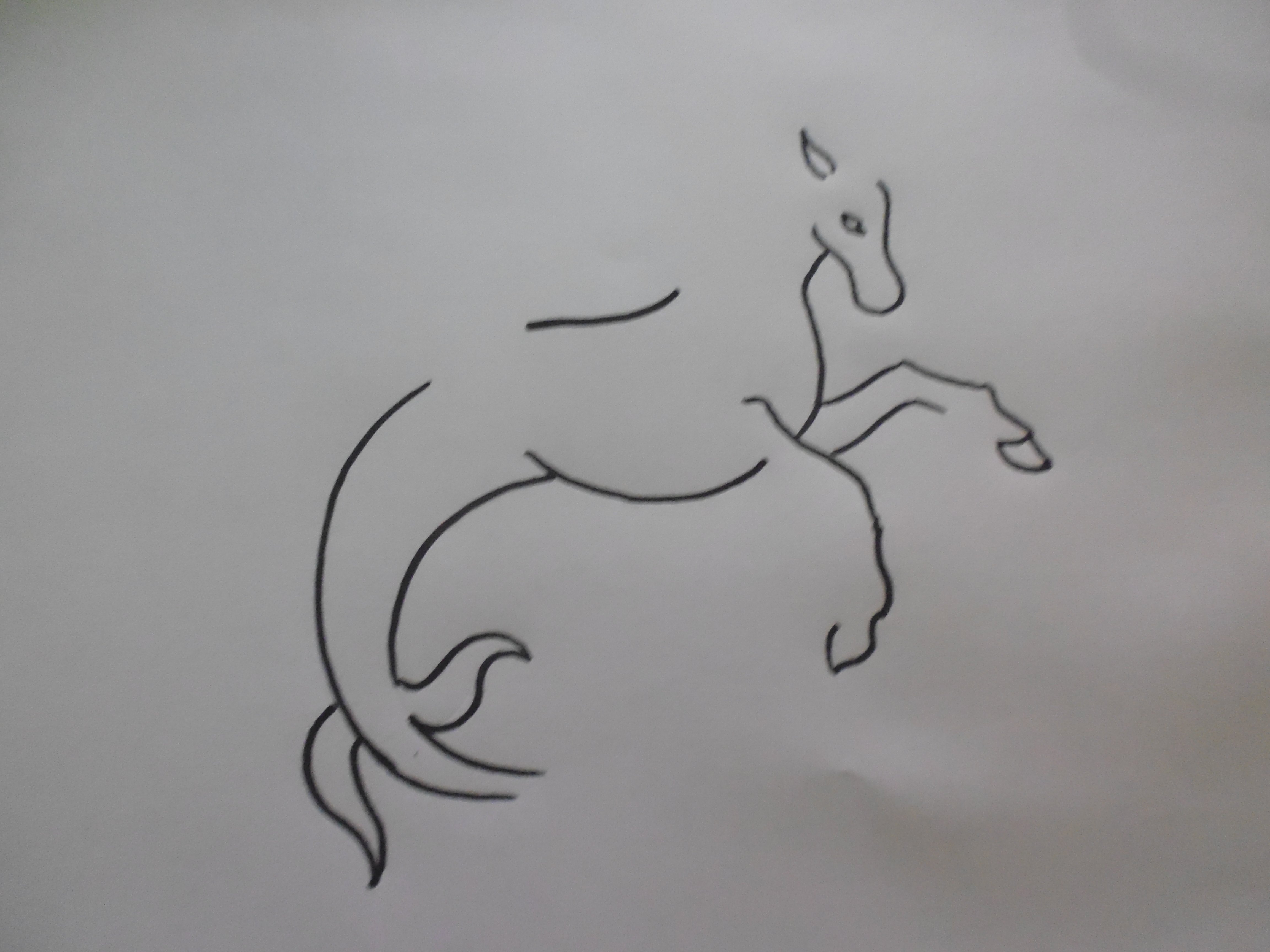 P1020121.JPG