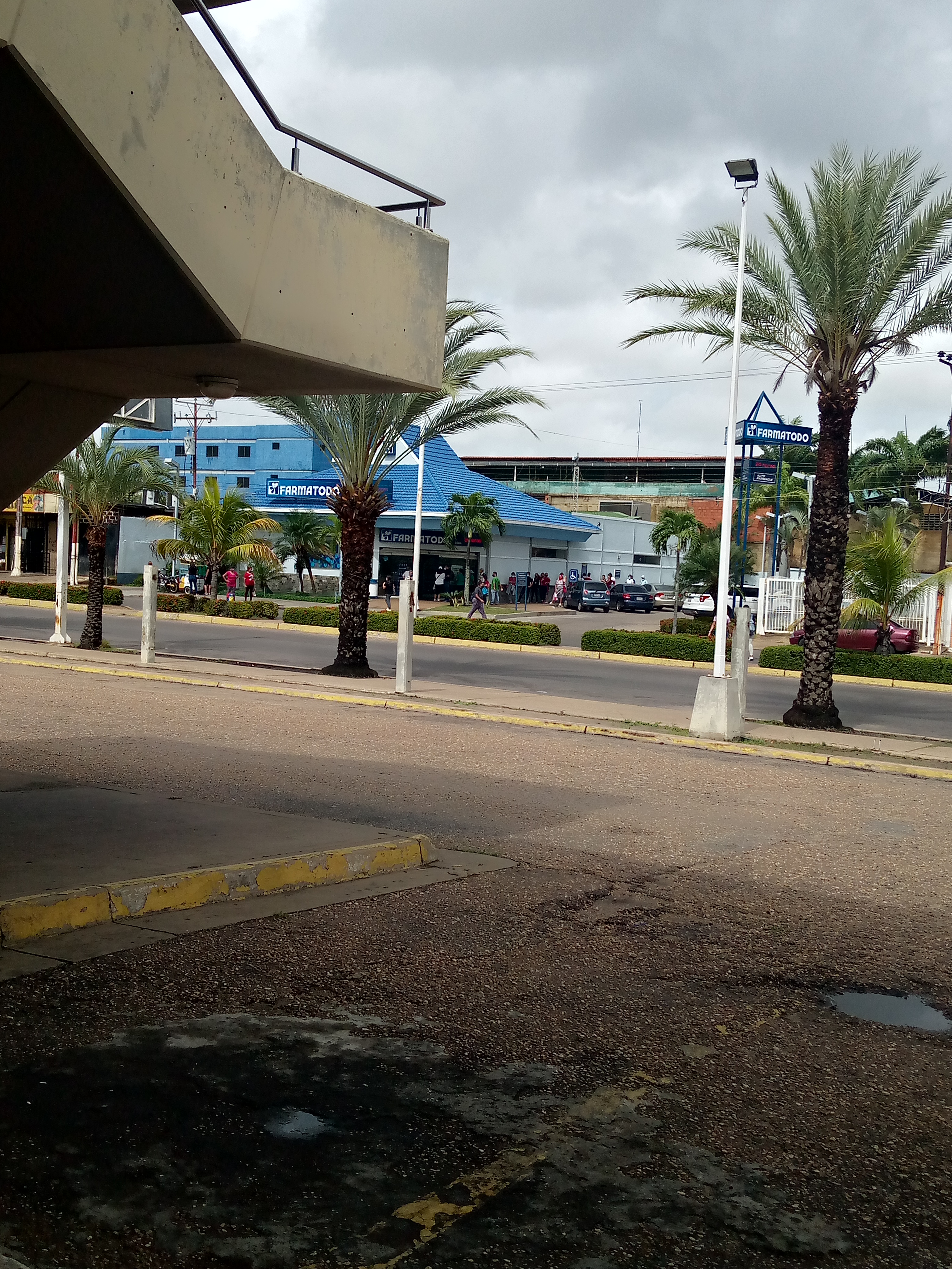 IMG_20210601_094832_057.jpg
