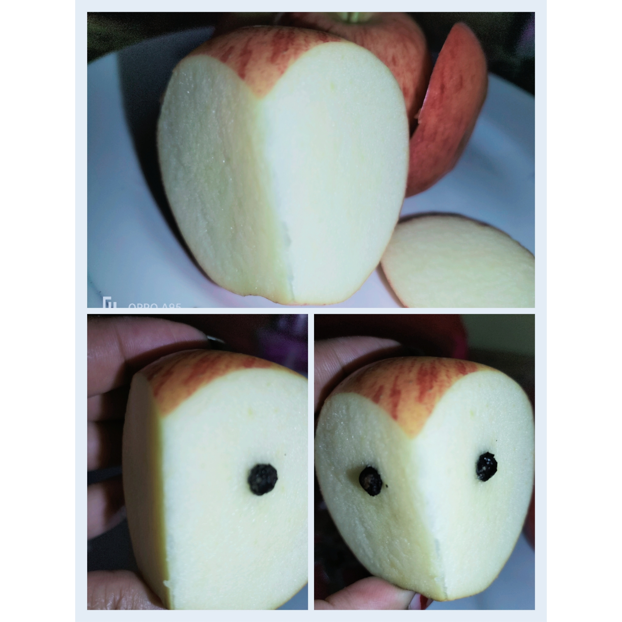 PhotoCollage_1715578074117.jpg