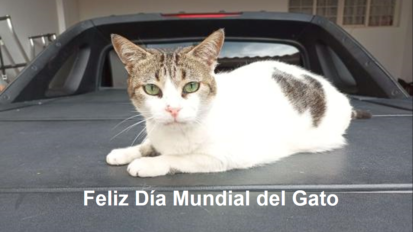 Captura de pantalla (4720).png