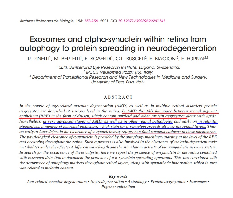AMD Alpha Synuclein.jpg