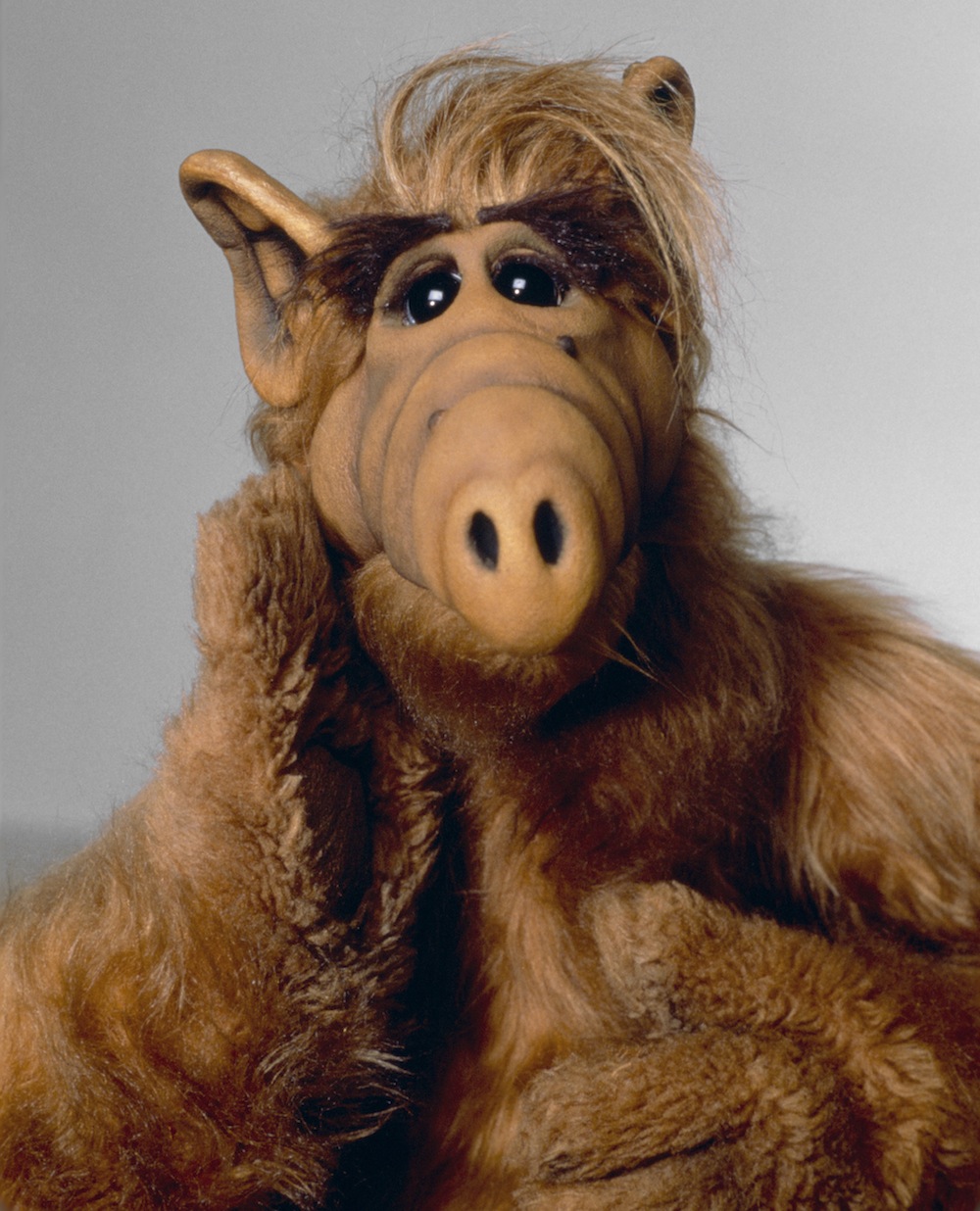alf-2399017704.jpg