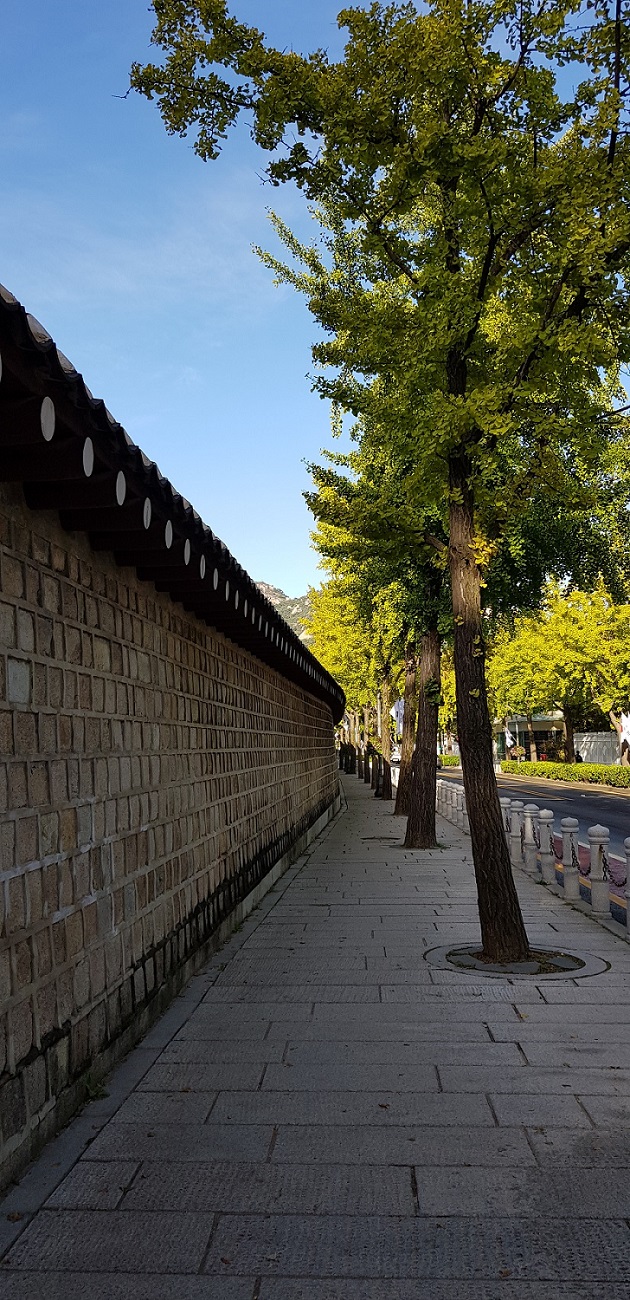 20181008_082513.jpg