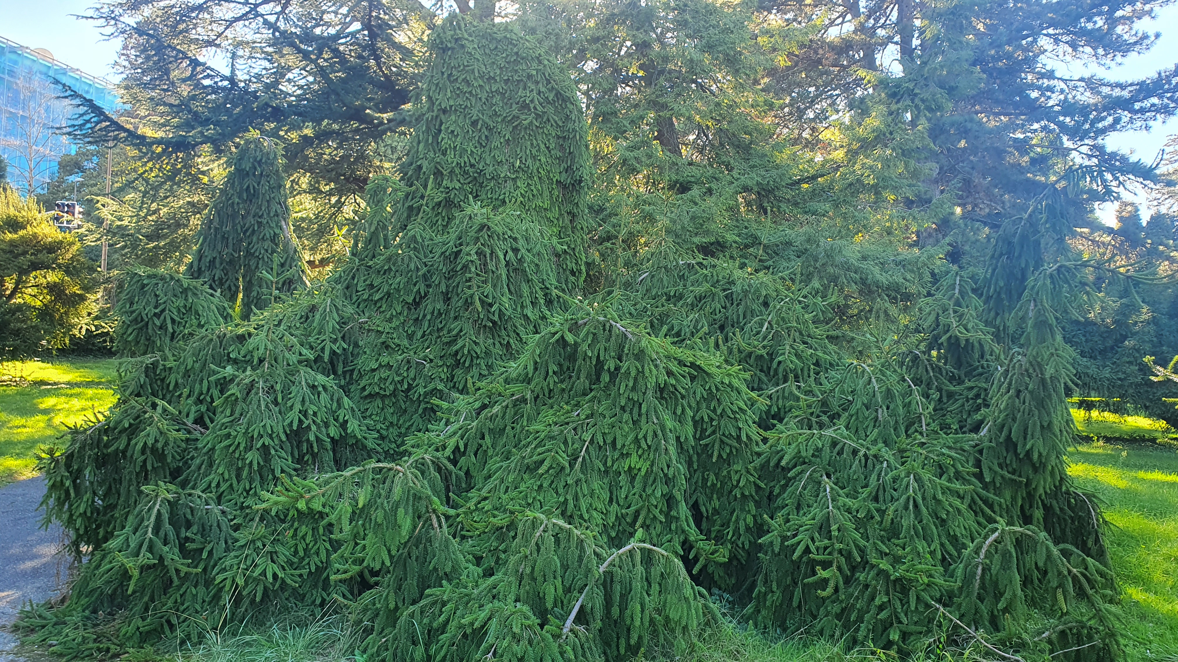 20220912_164309.jpg