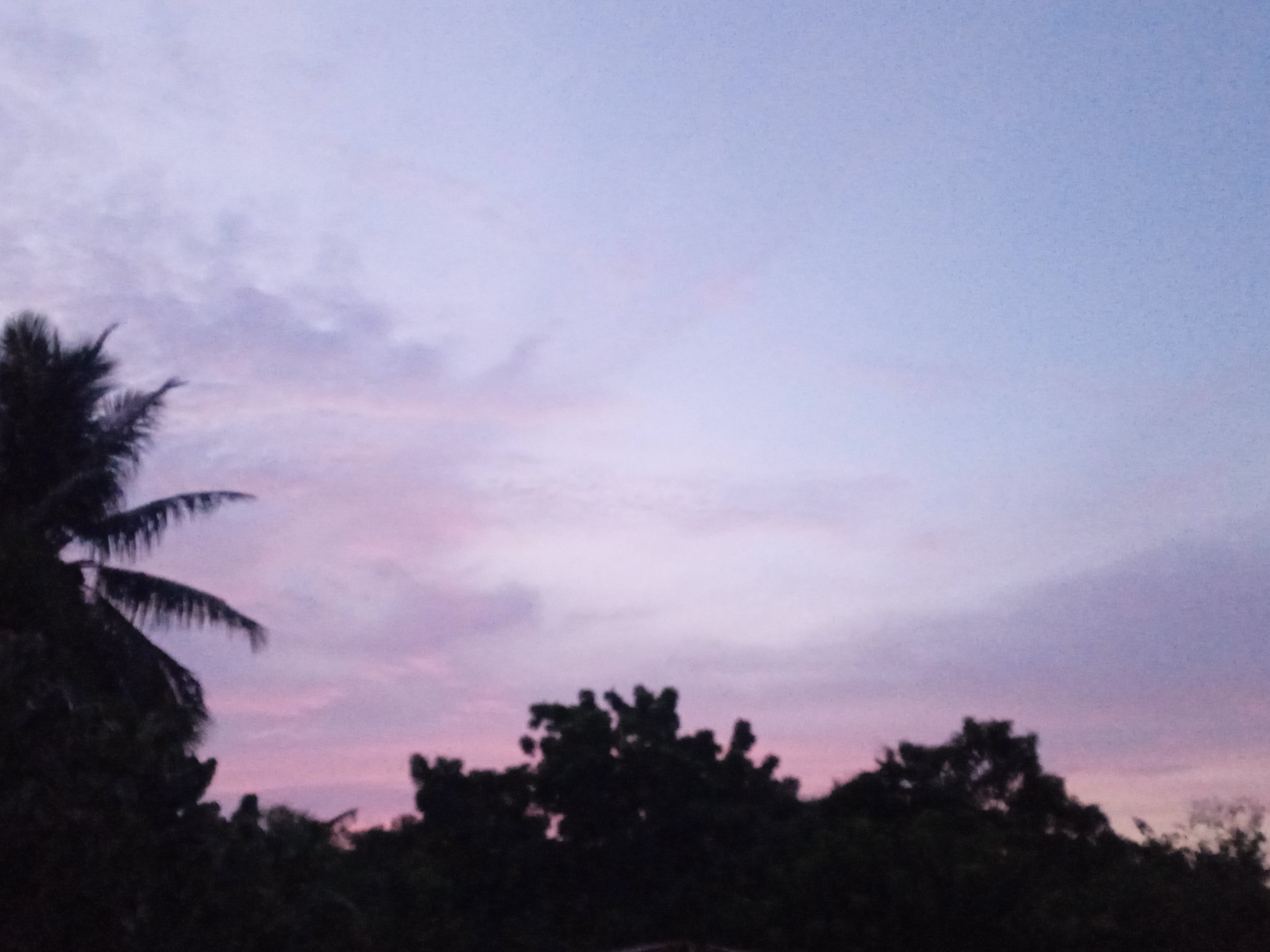 IMG_20260806_192318_1.jpg
