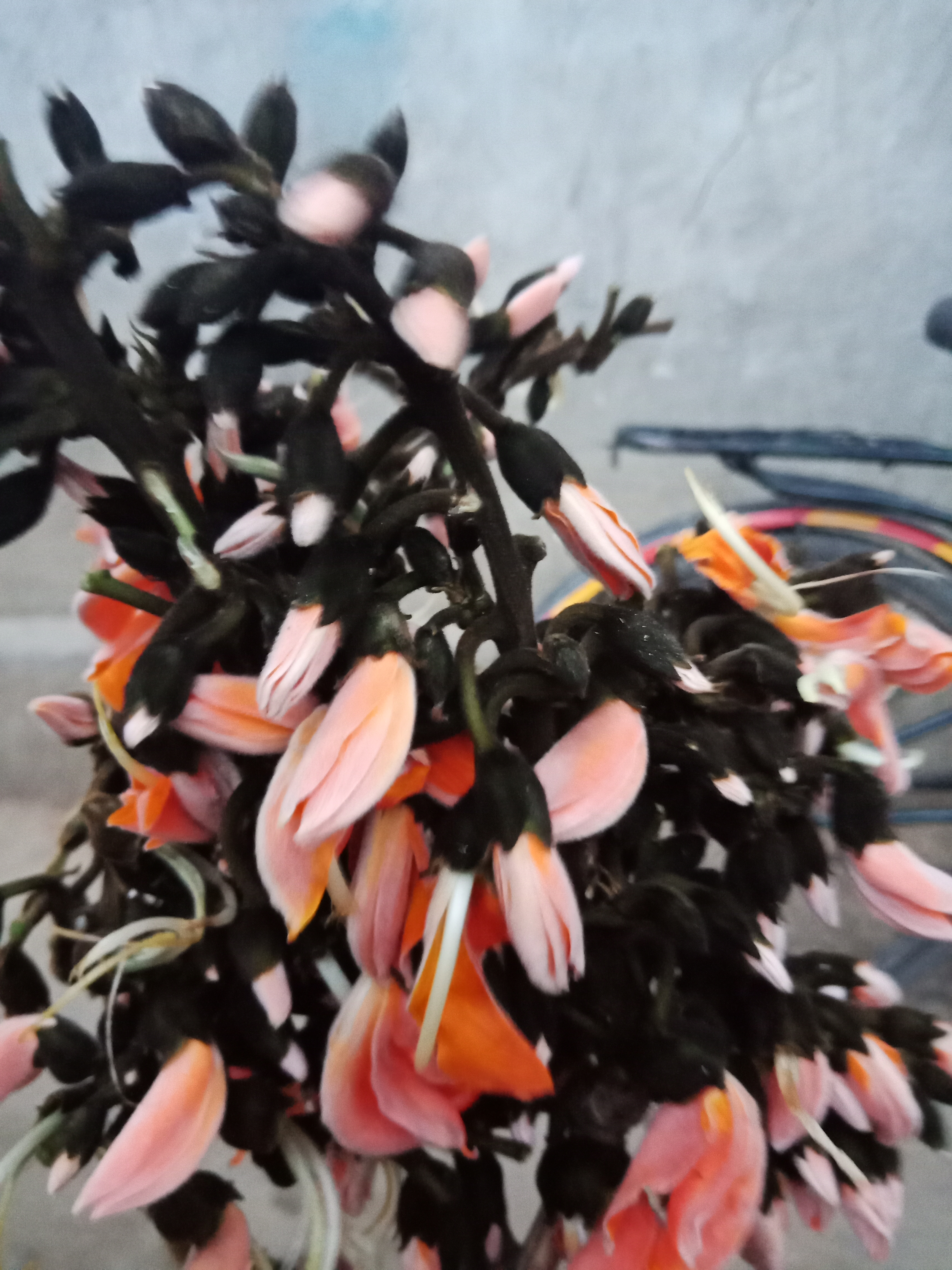 IMG20190317174751.jpg