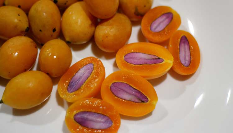 manfaat-buah-gandaria-untuk-kesehatan.jpg