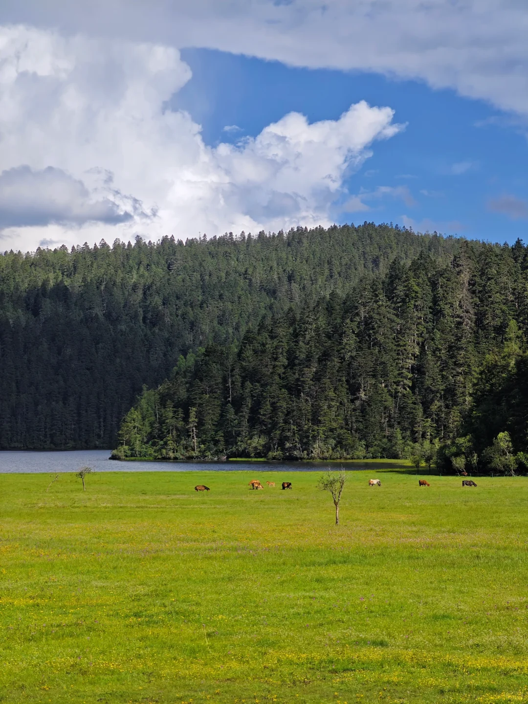218.webp