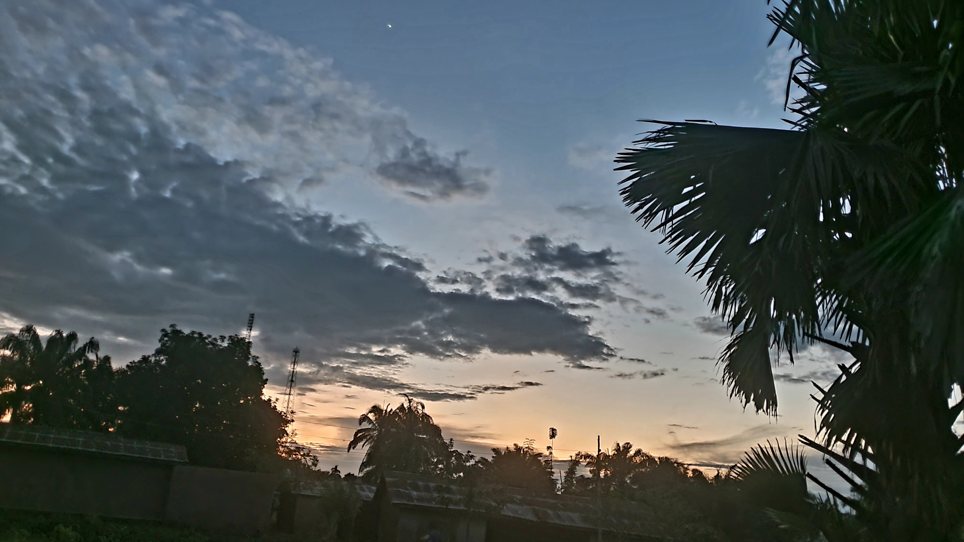 20260720_190930.jpg